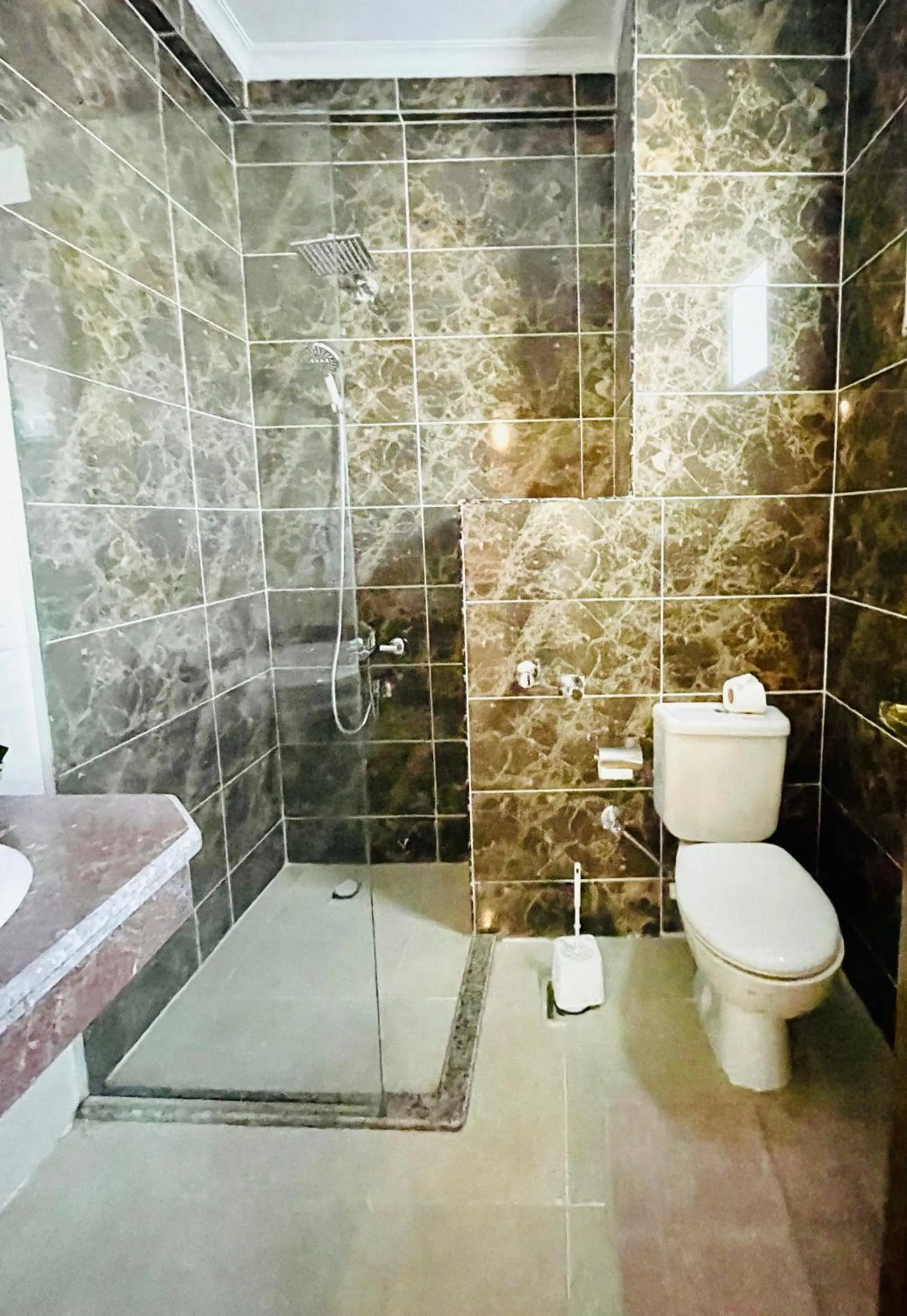 Shower in Jewel Howard Carter Hotel