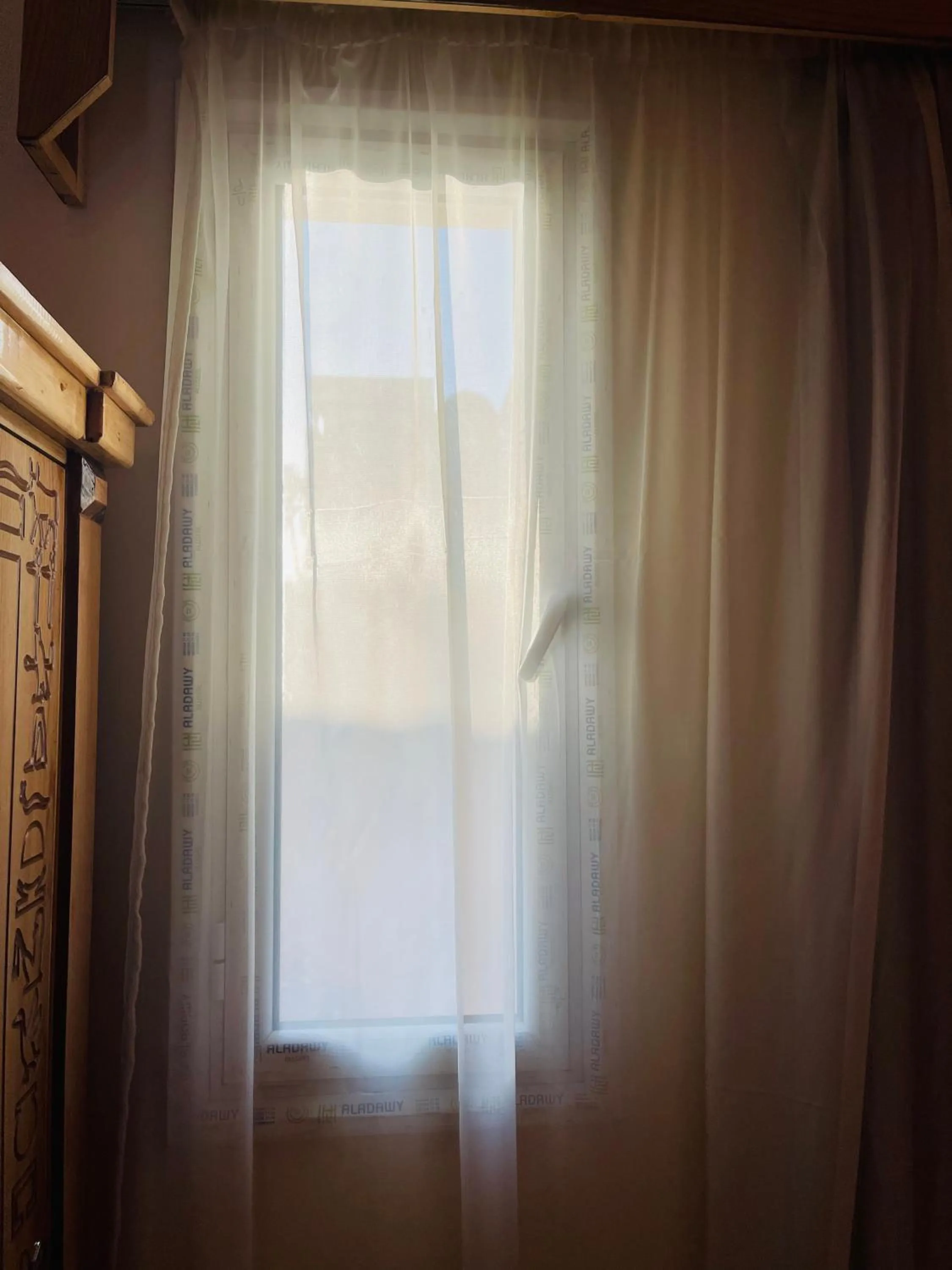 View (from property/room) in Jewel Howard Carter Hotel