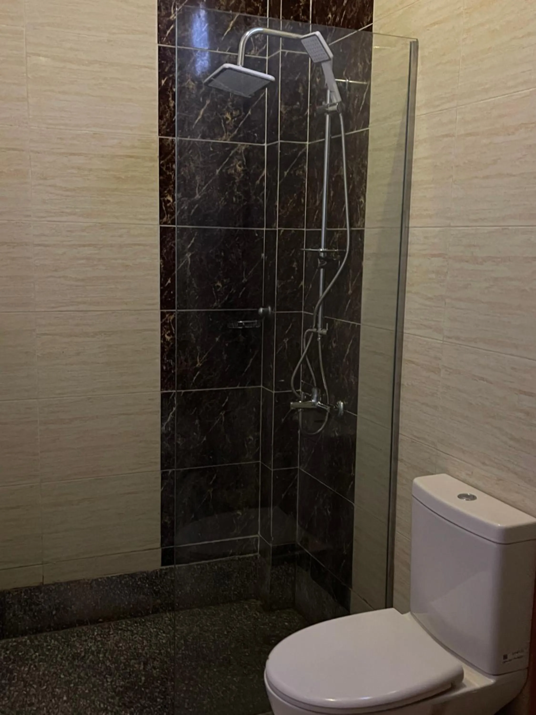 Toilet in Jewel Howard Carter Hotel