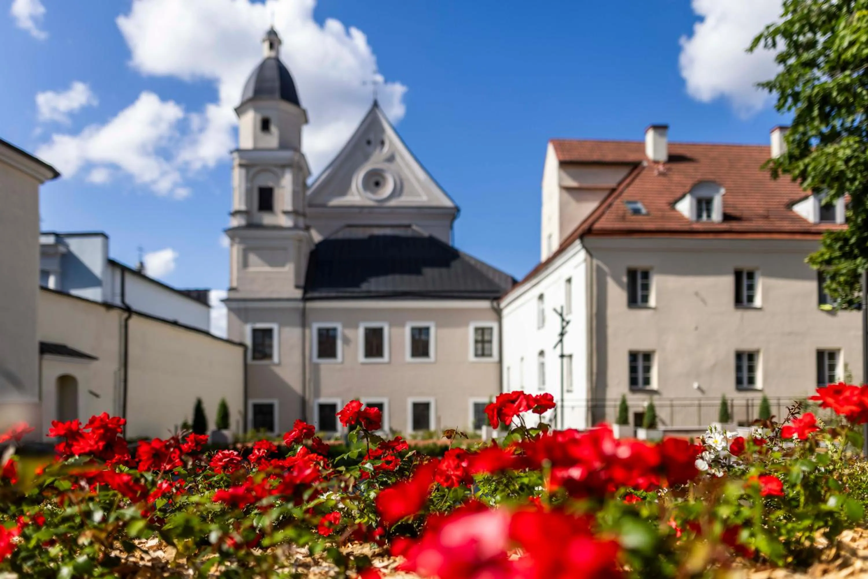 Garden view in Domus Maria