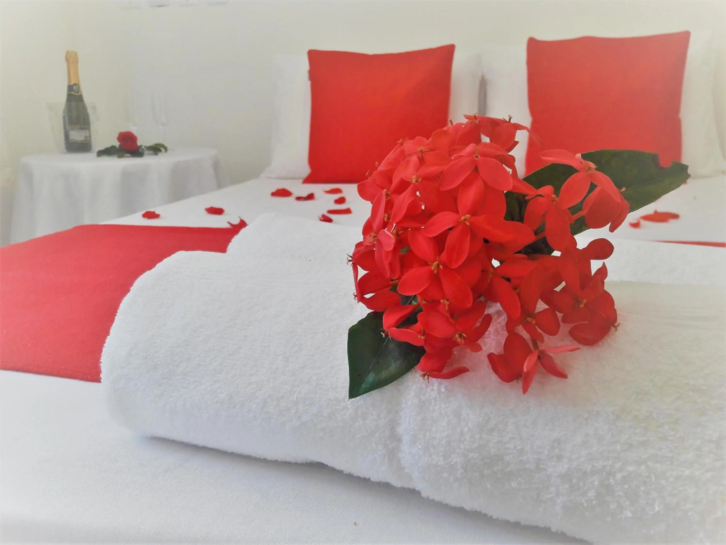 Decorative detail, Bed in Pousada Vila do Sossego