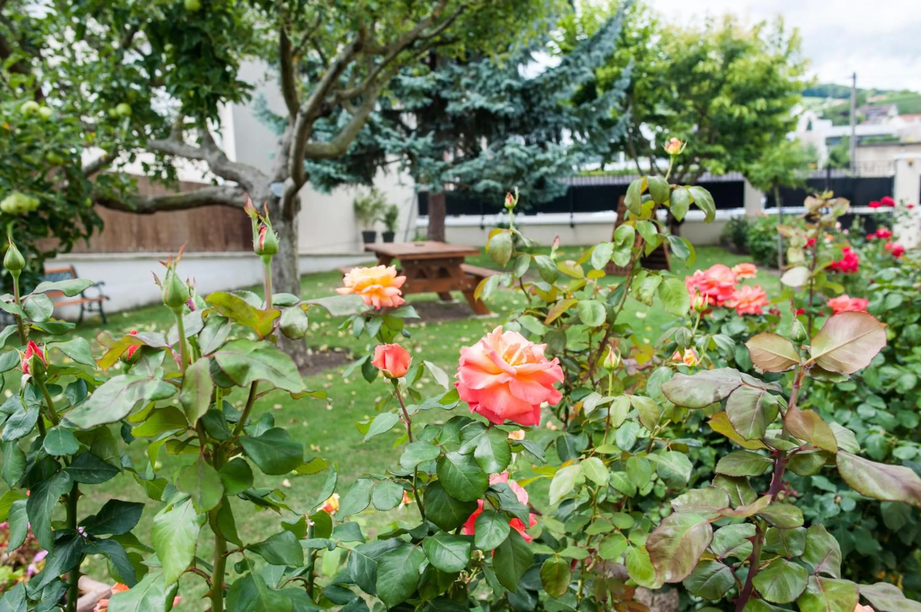 Garden in Chez Camille
