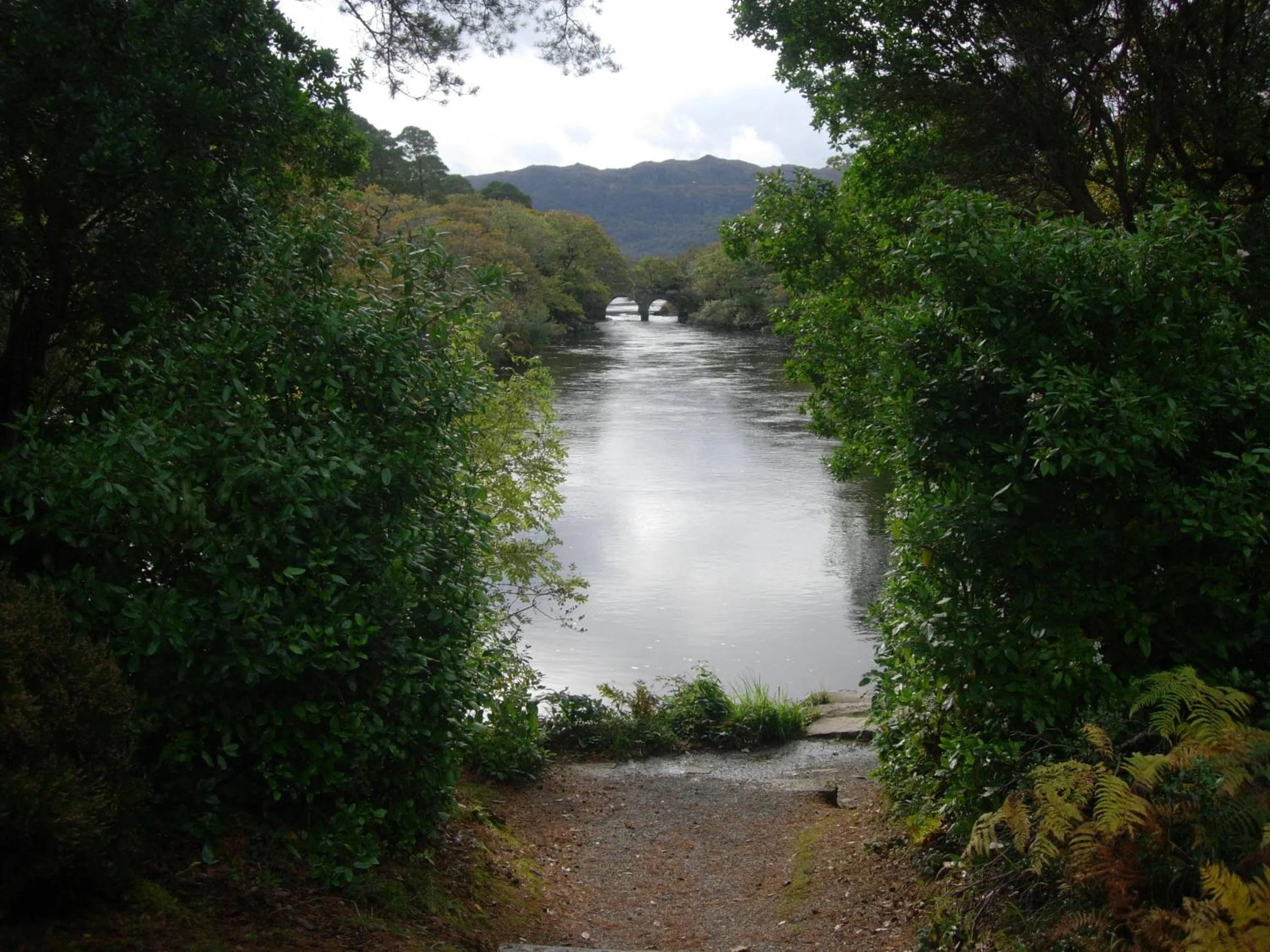 Natural landscape in Redwood