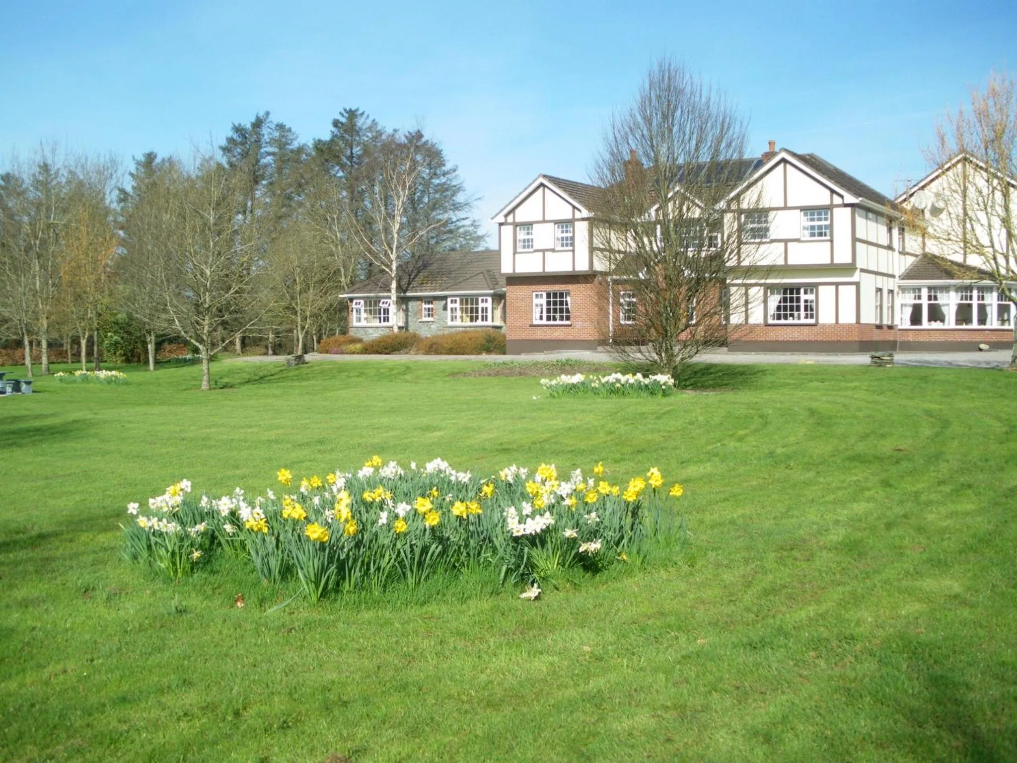 Garden view in Redwood