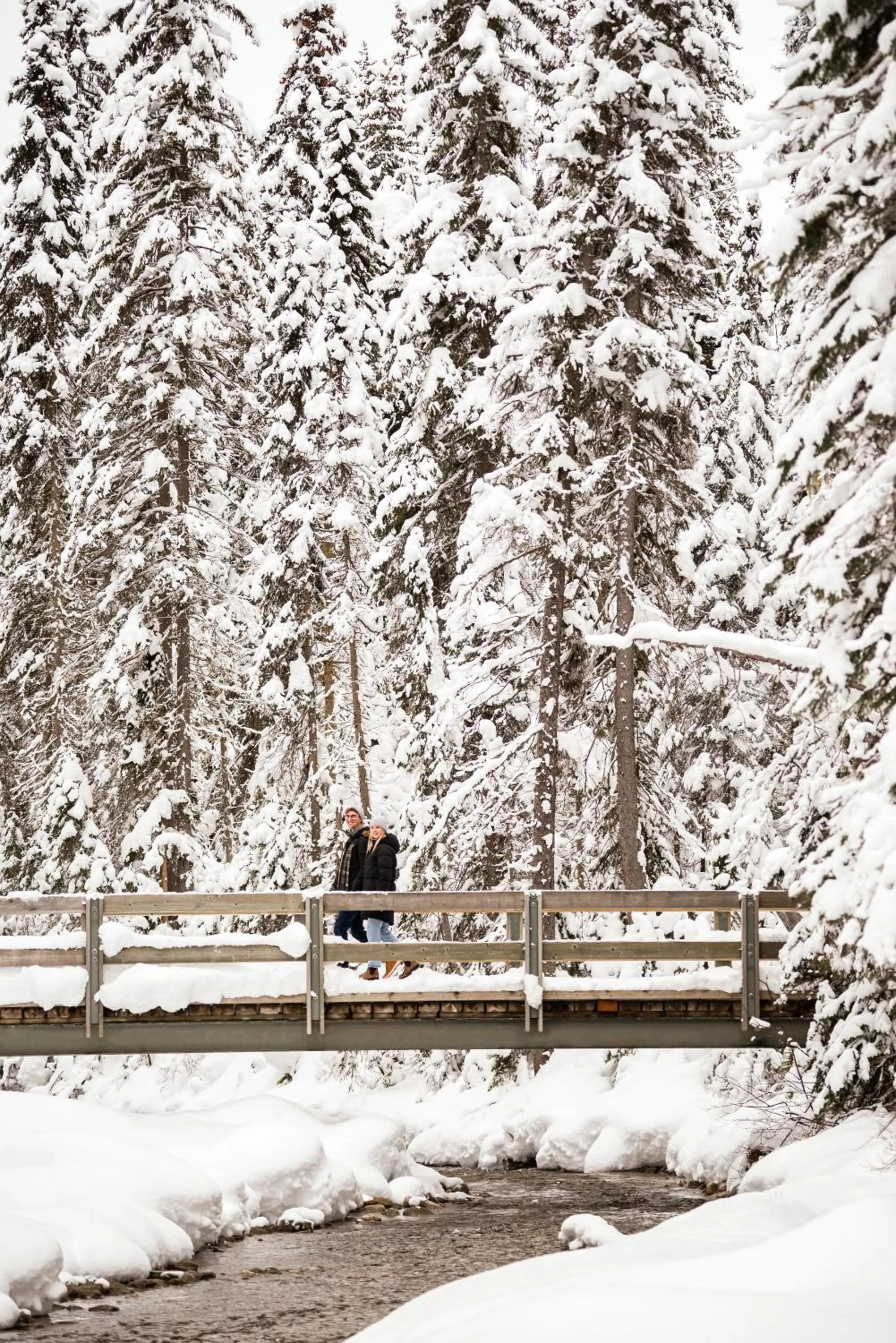 Activities in Emerald Lake Lodge