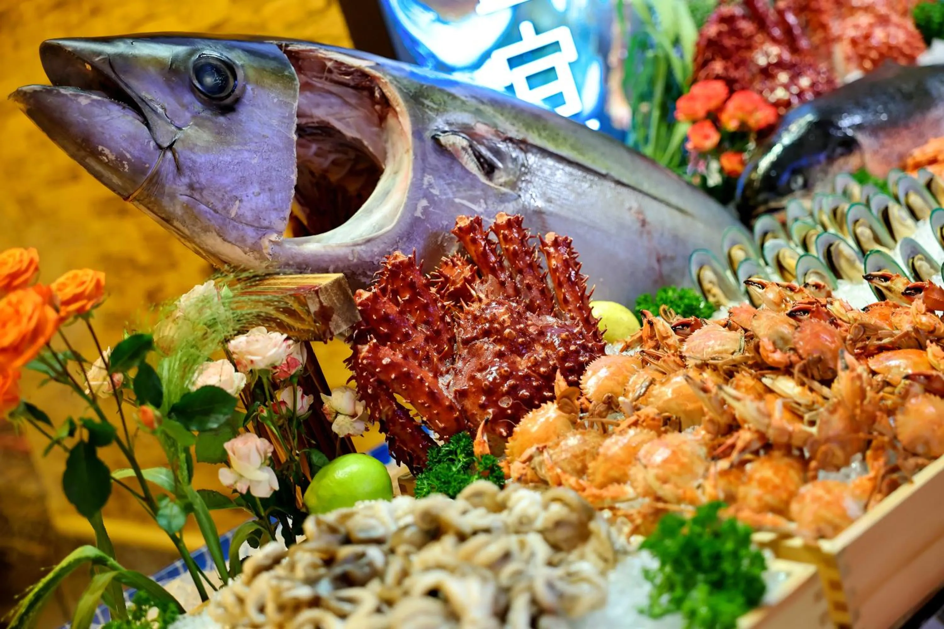 Restaurant/places to eat in Shangri-La Dalian