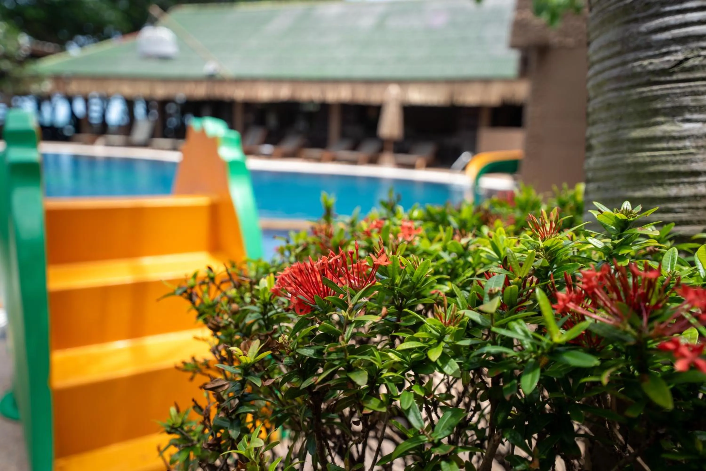 Swimming pool in Lanta Riviera Beach Resort