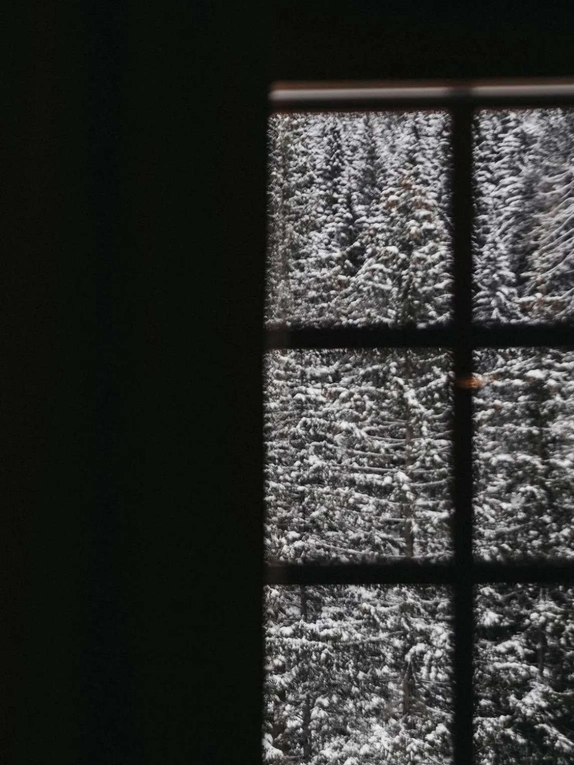 Almwellness-Resort Tuffbad