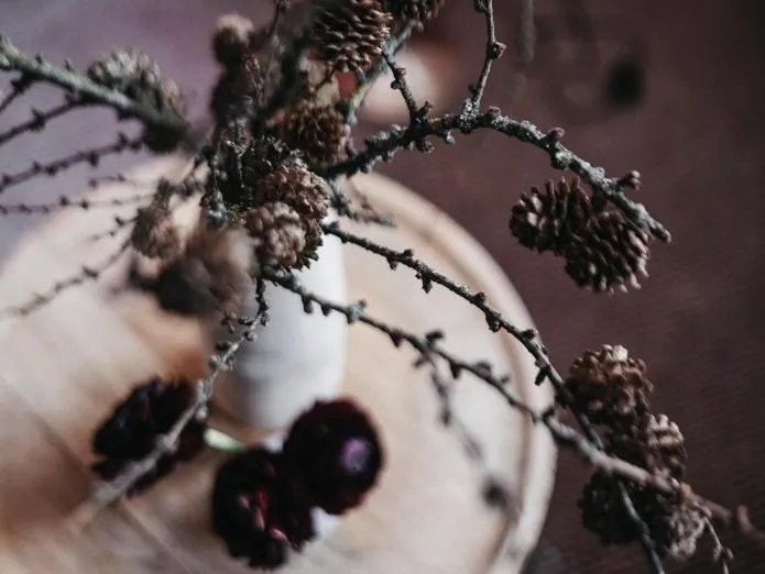 Almwellness-Resort Tuffbad