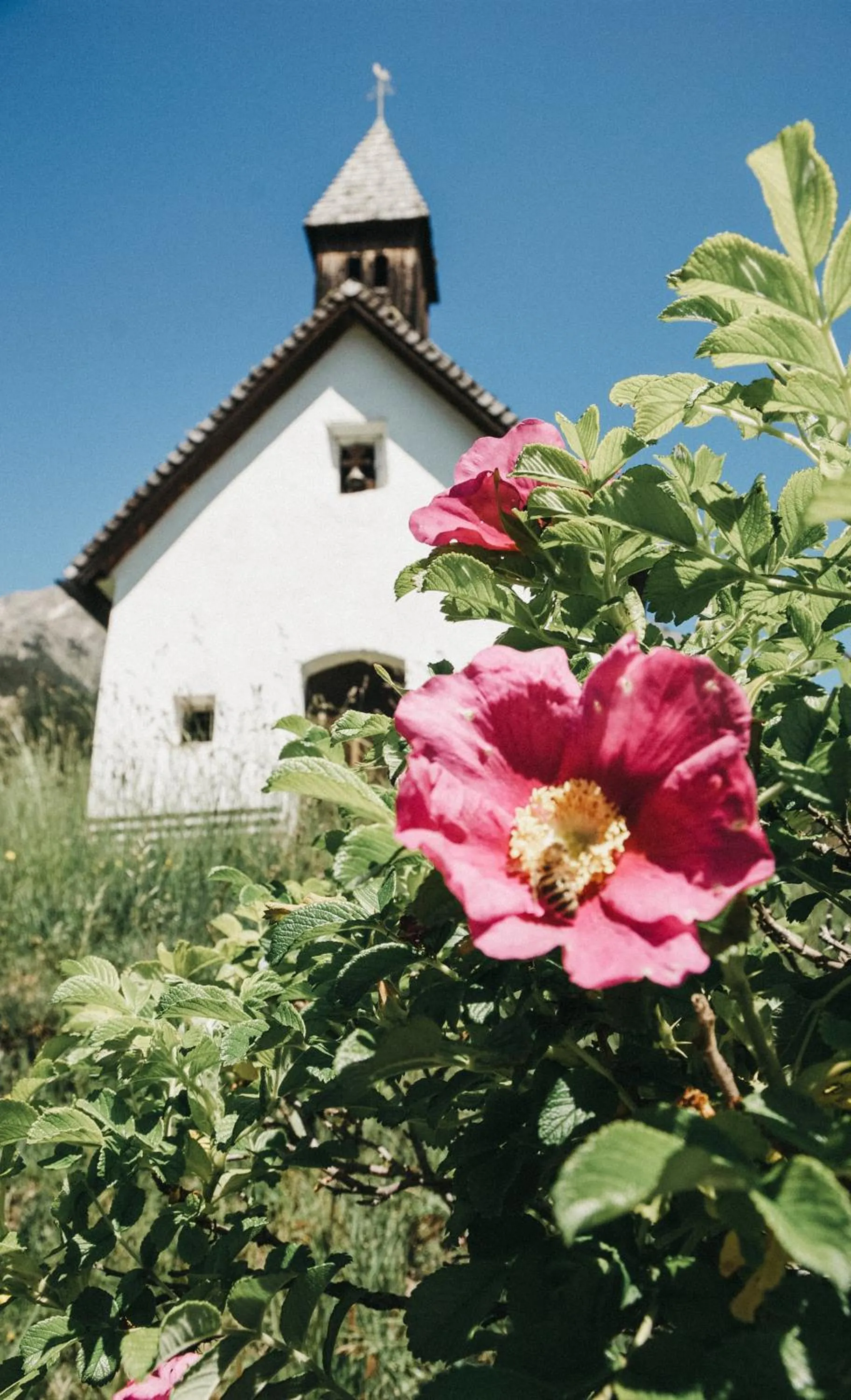 Almwellness-Resort Tuffbad