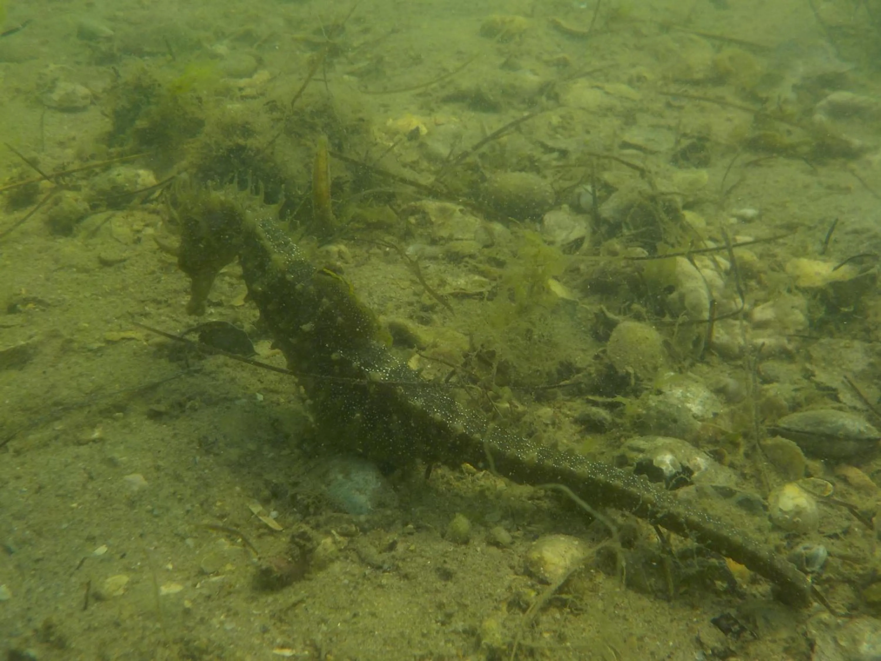 Nearby landmark in Villa vista mar e piscina