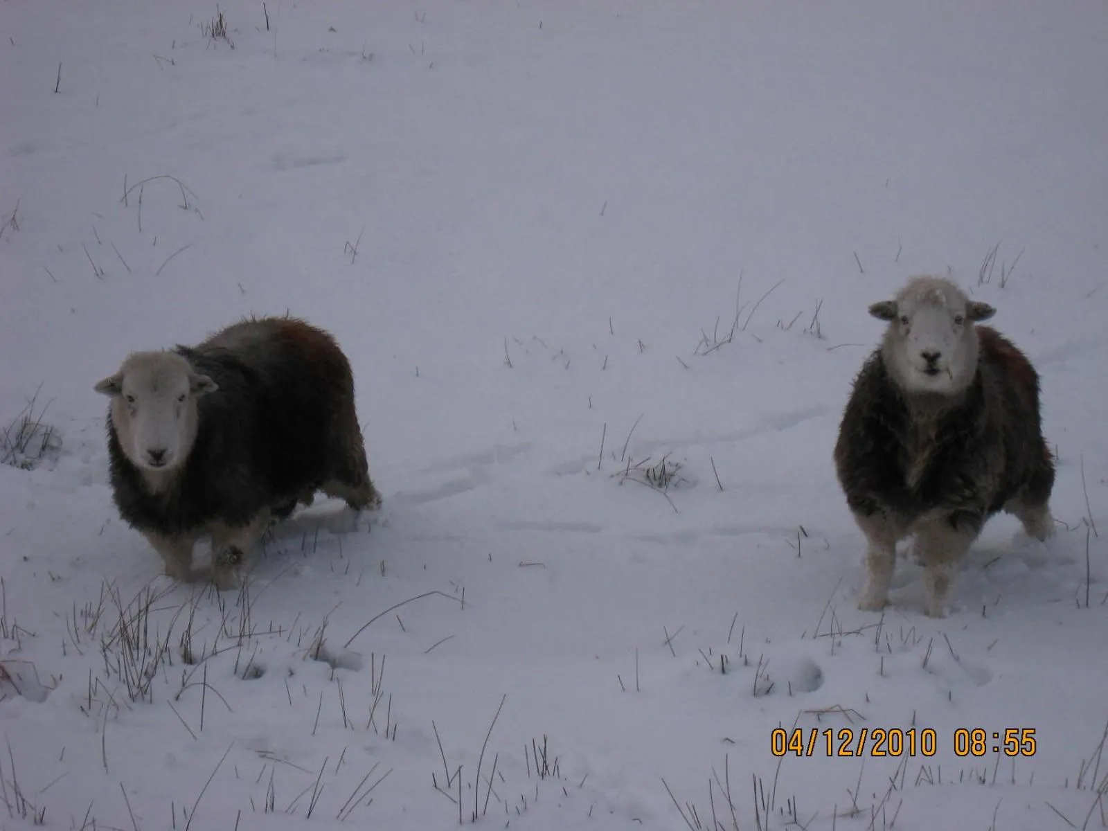 The Langstrath Country Inn