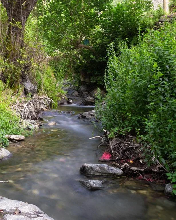 River view in Theoxenia