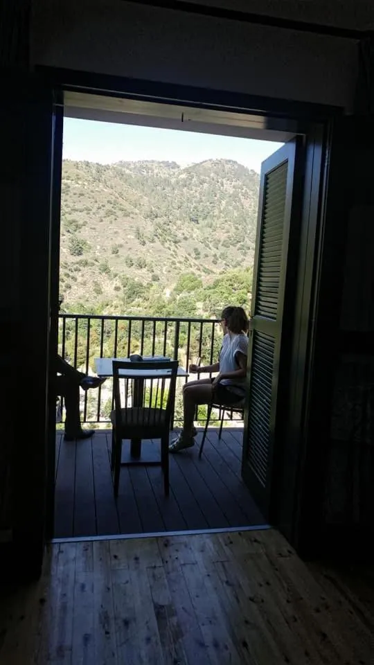 Balcony/Terrace in Theoxenia