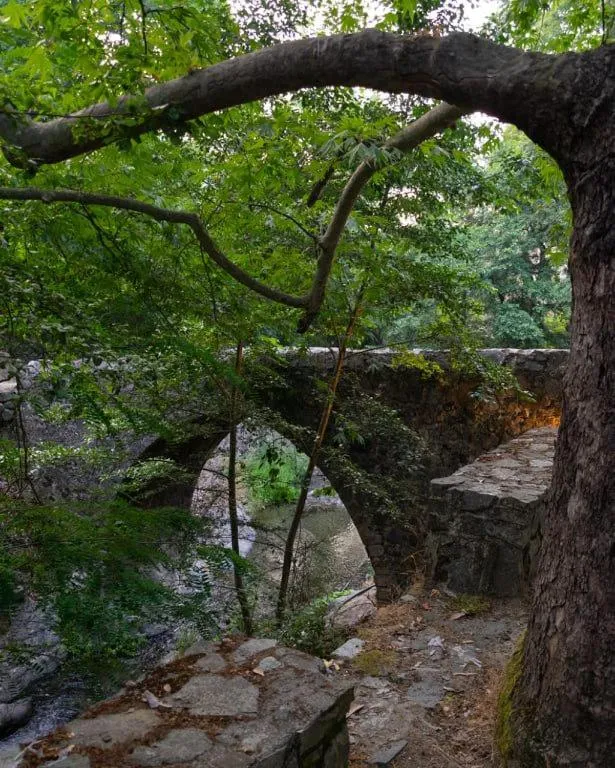 River view in Theoxenia