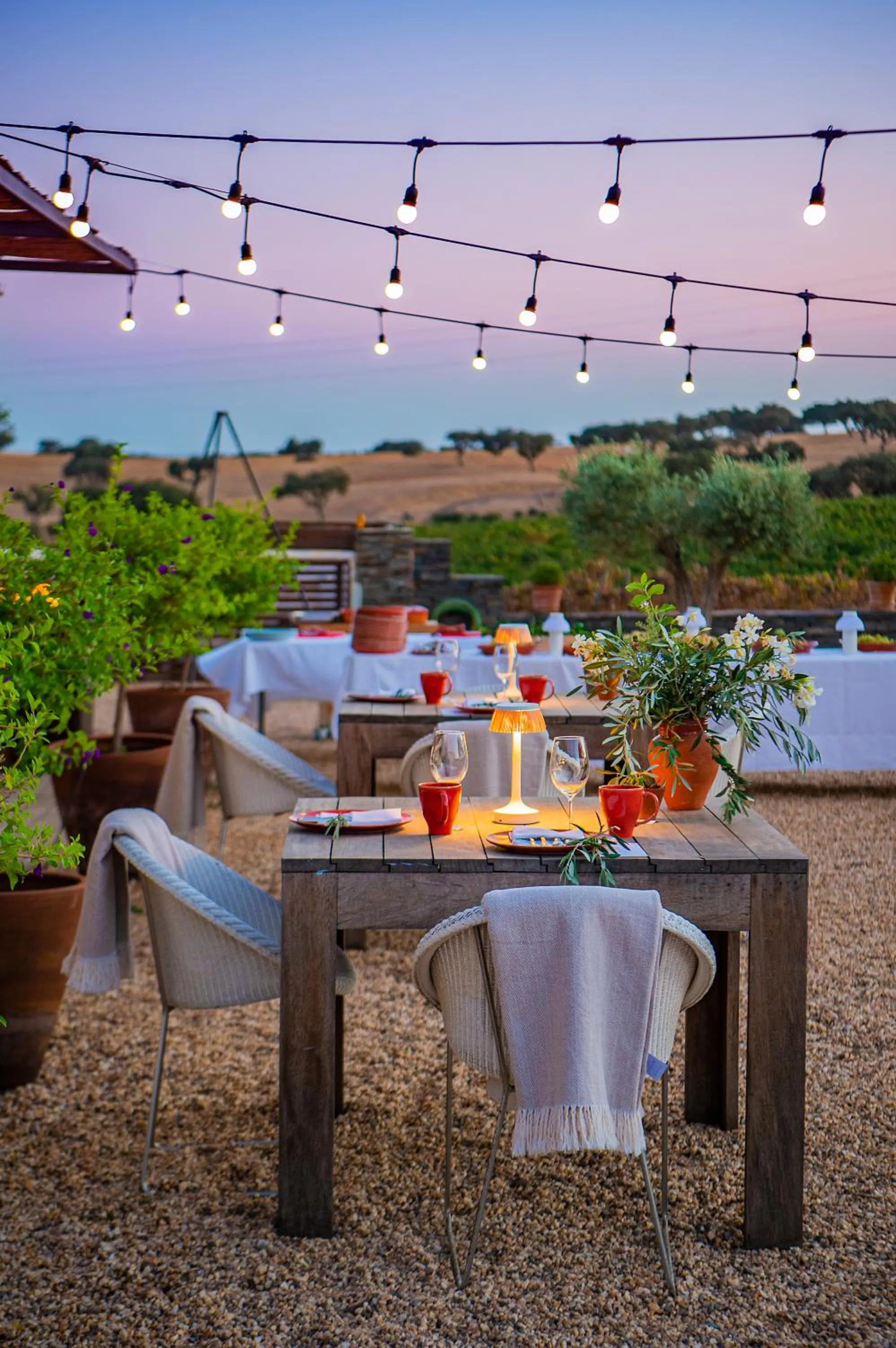 Activities in Herdade da Malhadinha Nova - Relais & Châteaux