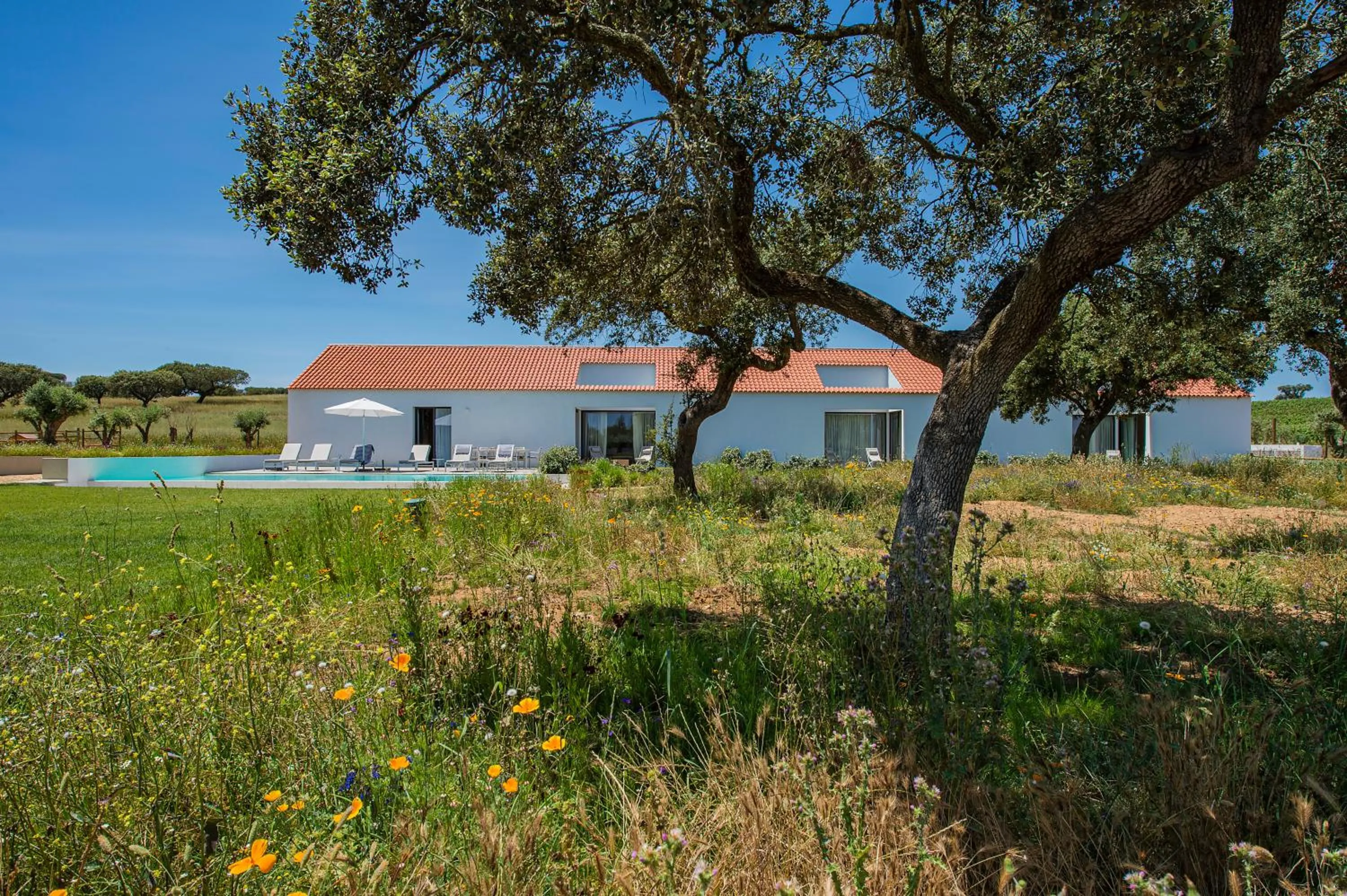 Property building in Herdade da Malhadinha Nova - Relais & Châteaux