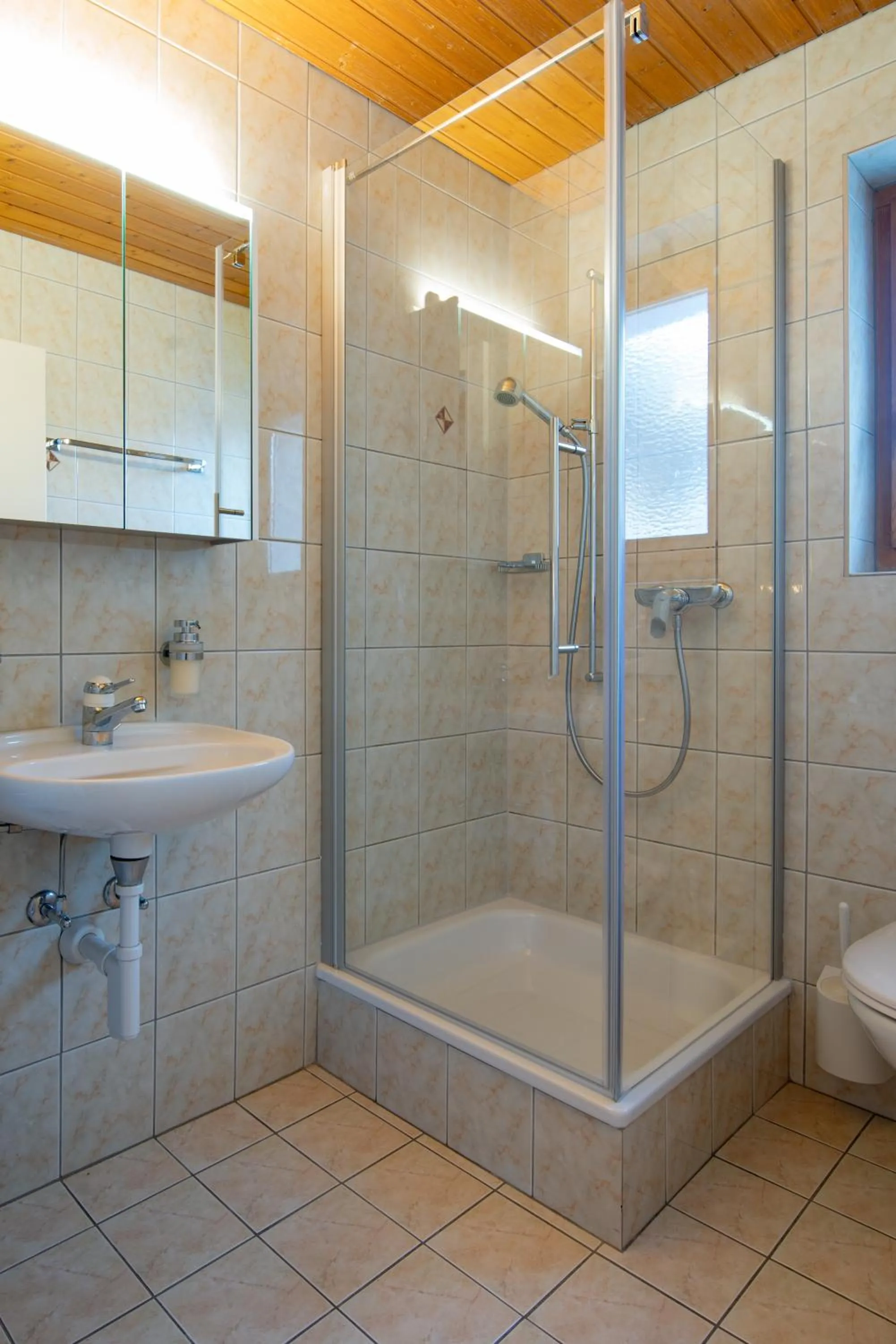 Shower in Hotel Restaurant Simplon