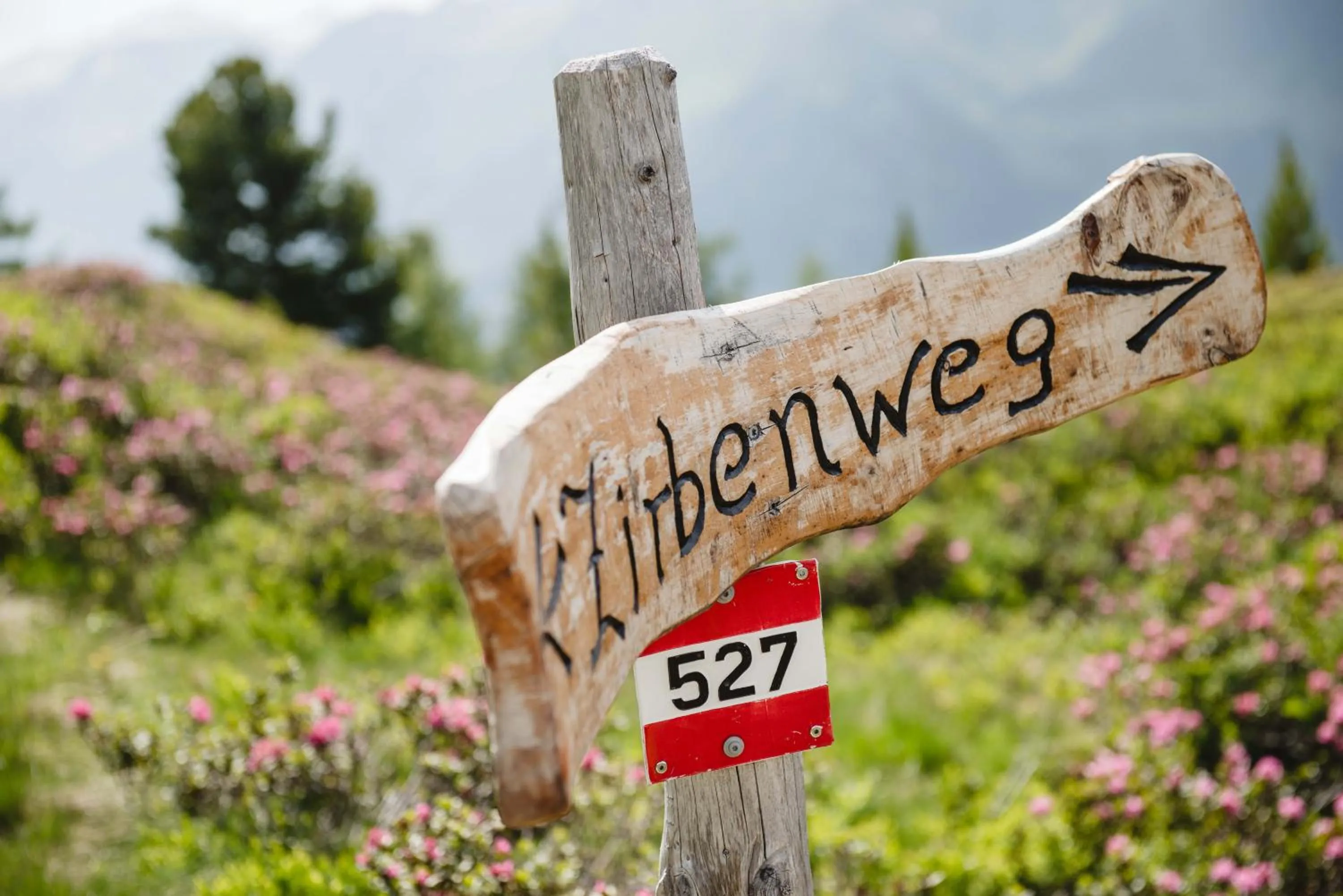 Hiking in Hotel Bristol