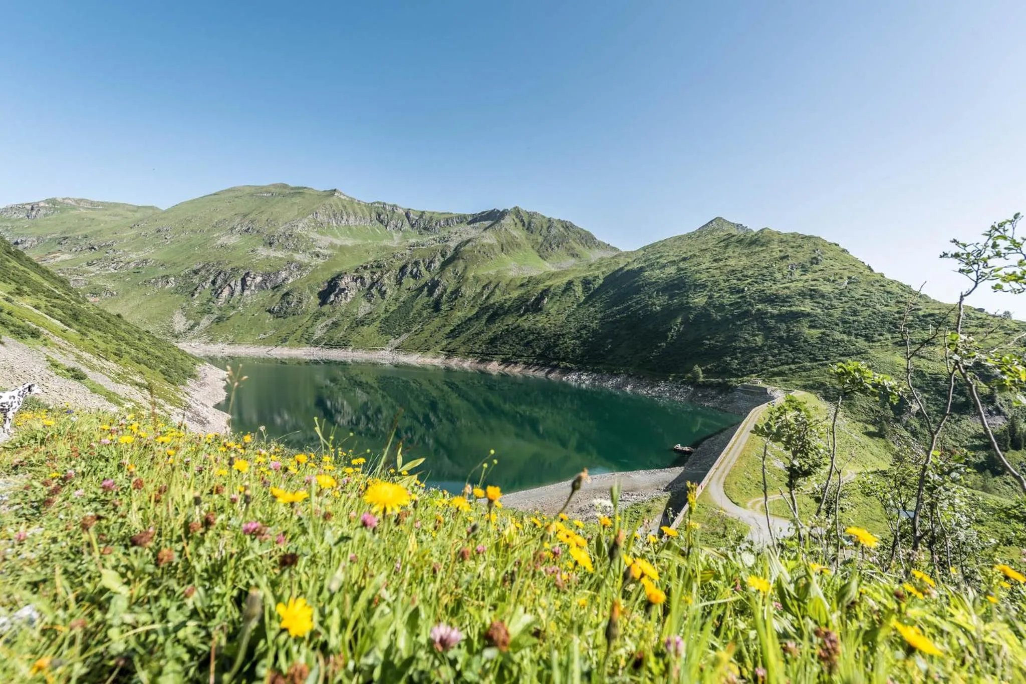 Fishing in Hotel Bristol