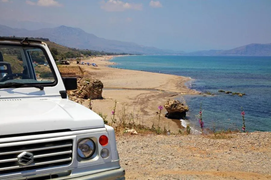 Natural landscape in Vardis Olive Garden