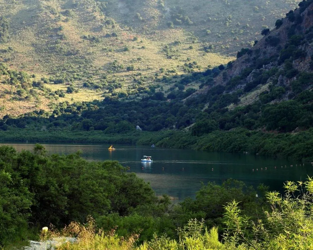 Natural landscape in Vardis Olive Garden