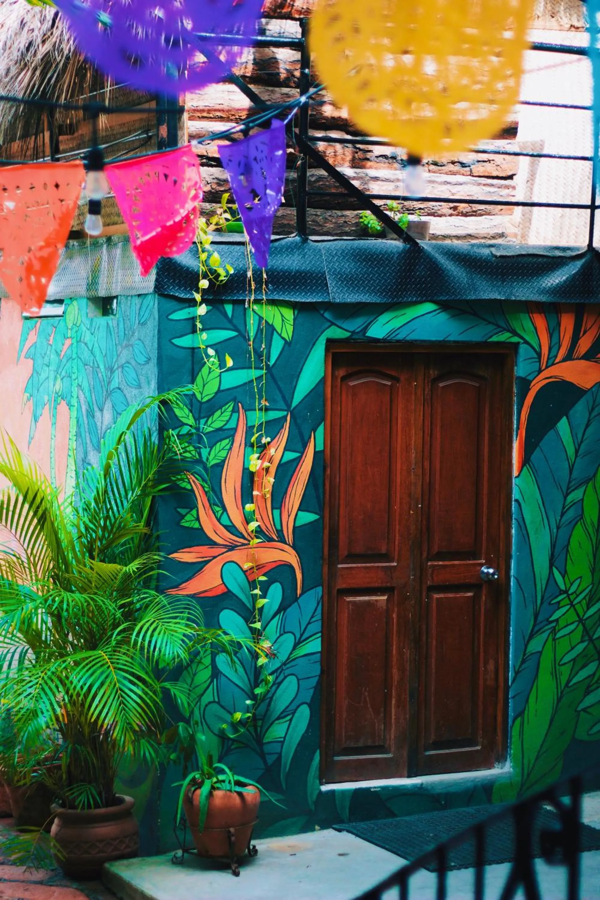 La Redonda Surf Hostel Sayulita