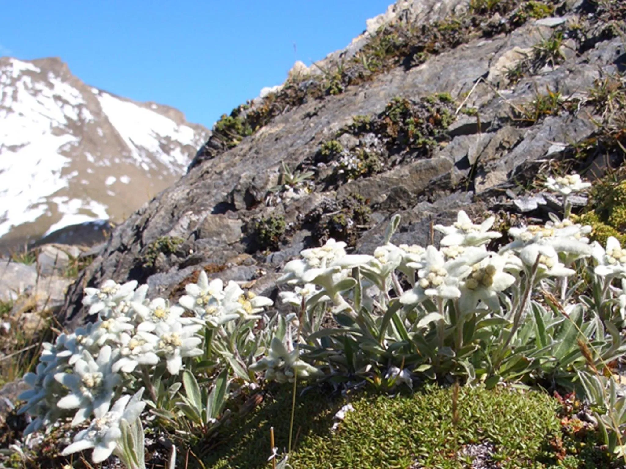 Natural landscape in Hotel Erlenhof