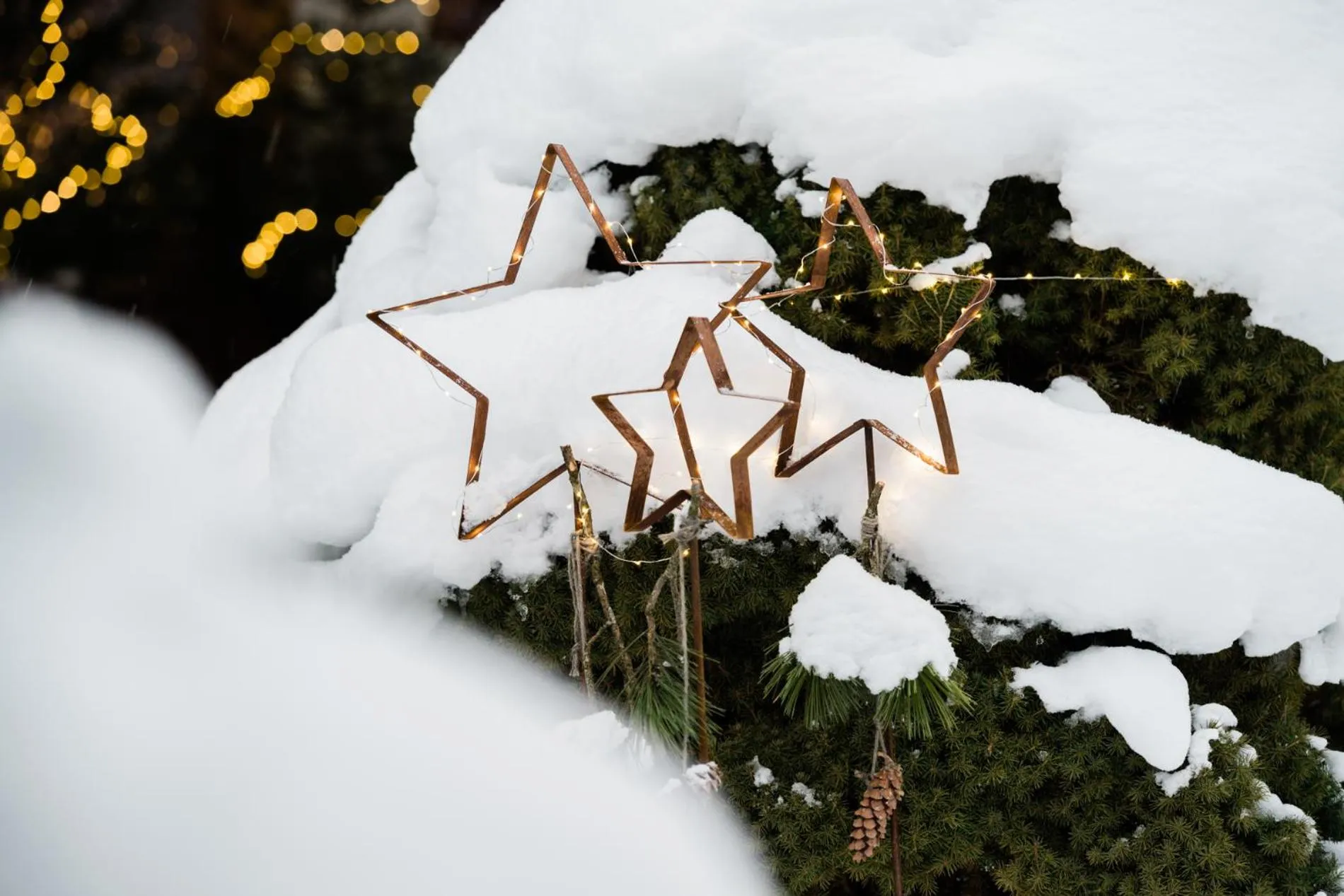 Garden in Landhaus Steiner