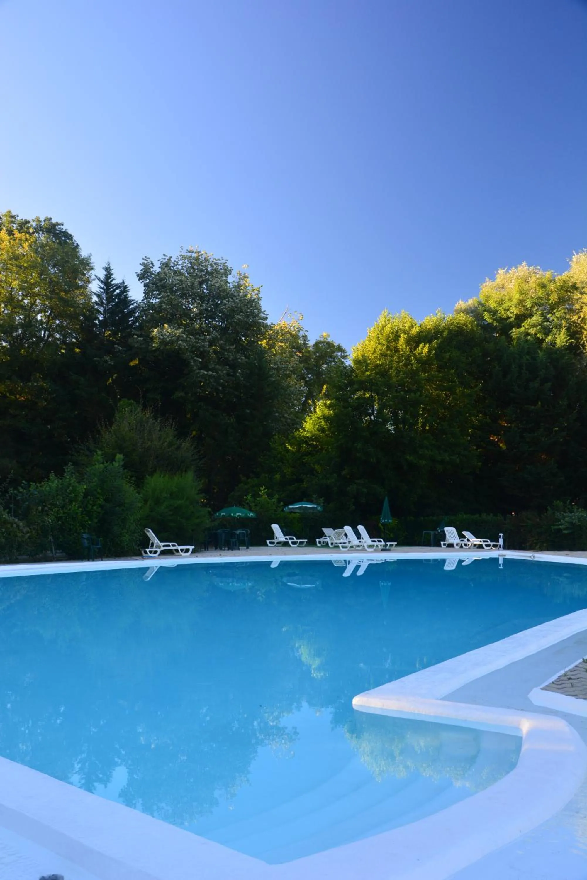 Swimming pool in Hôtel Etang des Reynats