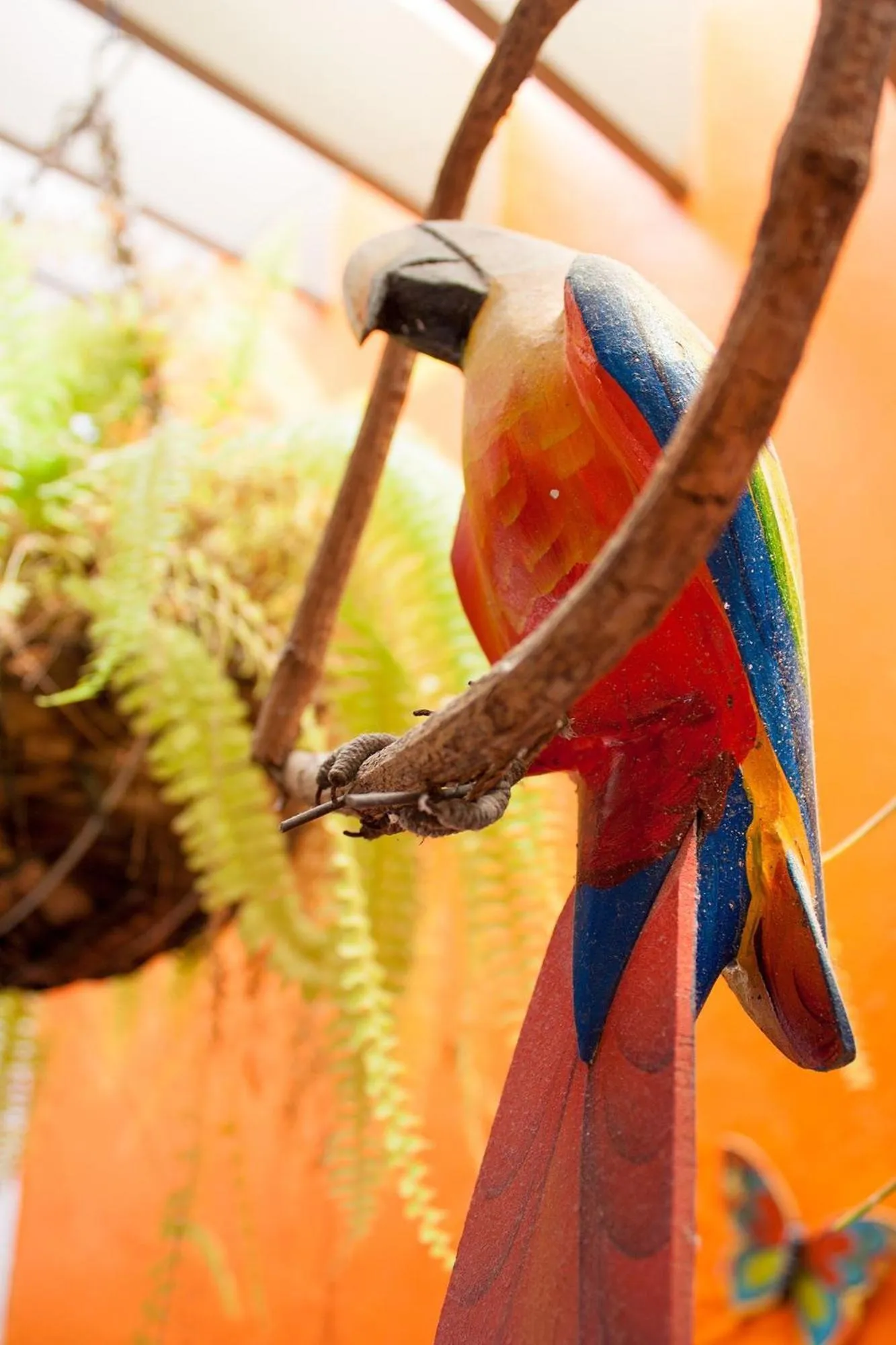 Pets in Trópico Praia Hotel