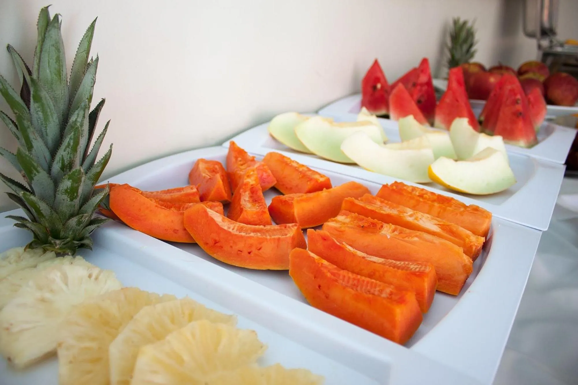 Food close-up in Trópico Praia Hotel