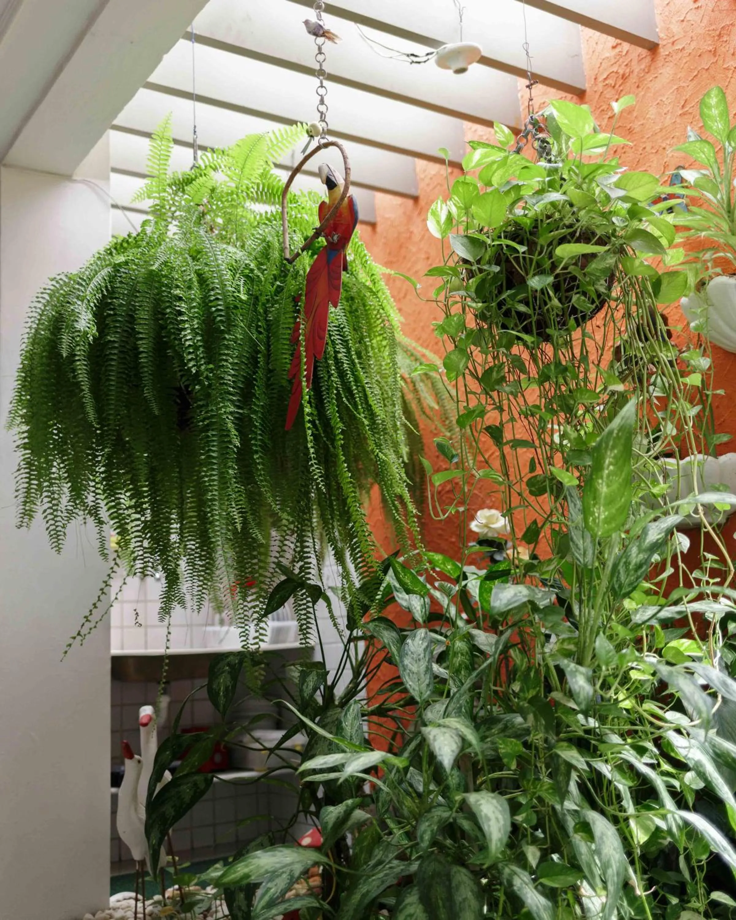 Garden view in Trópico Praia Hotel