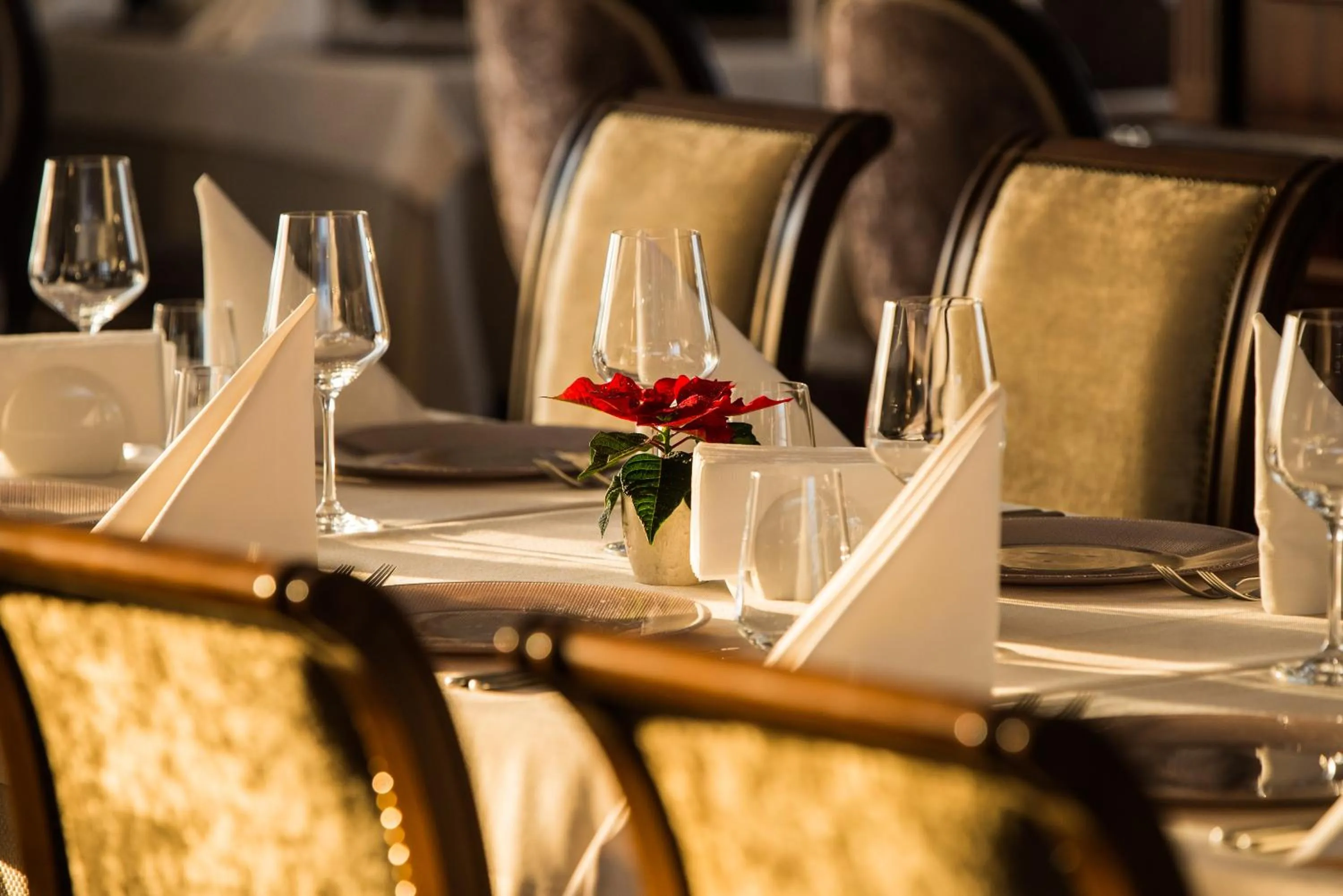 Restaurant/places to eat in Drustar Hotel