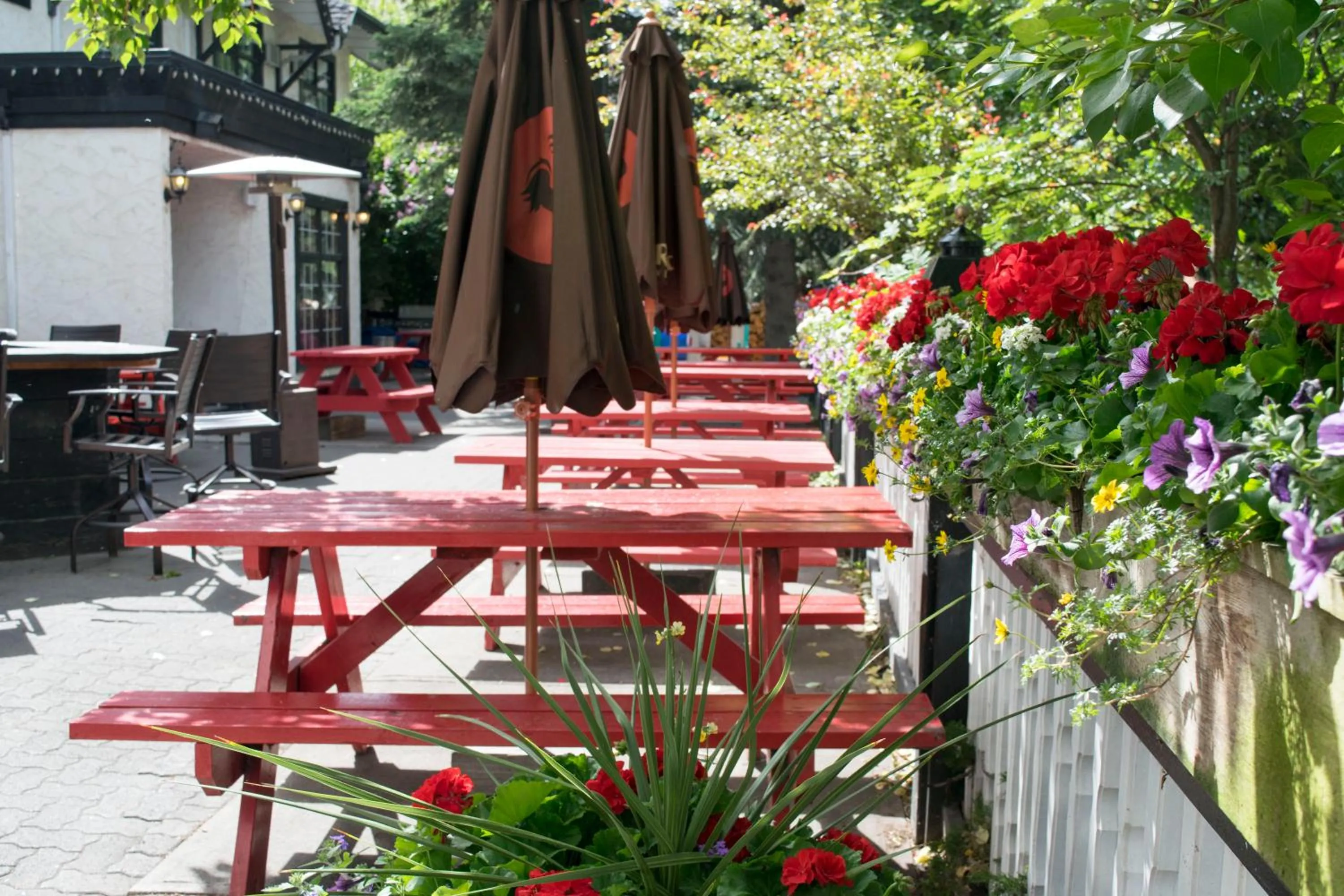 Property building in The Georgetown Inn