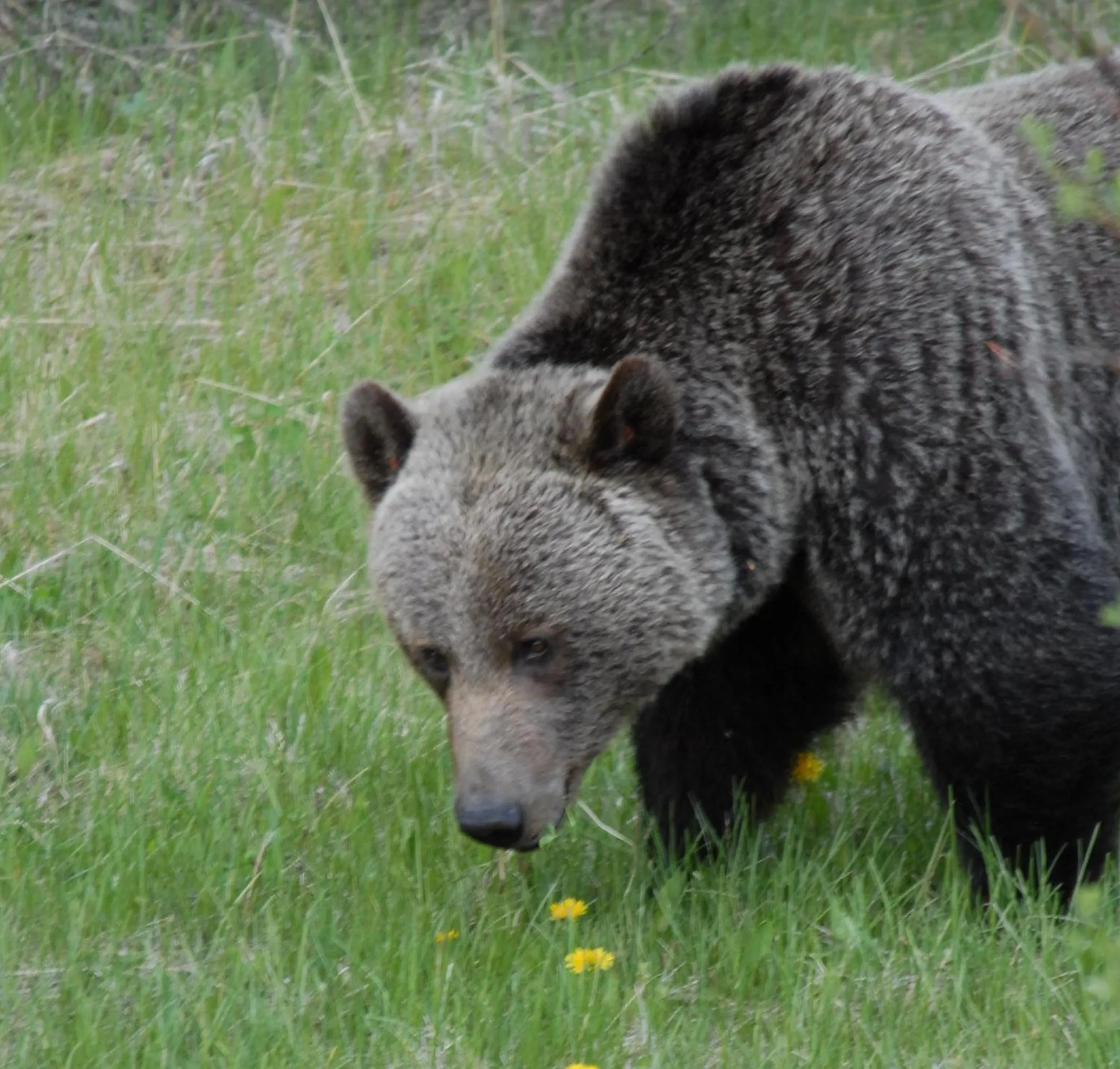 Other in The Georgetown Inn