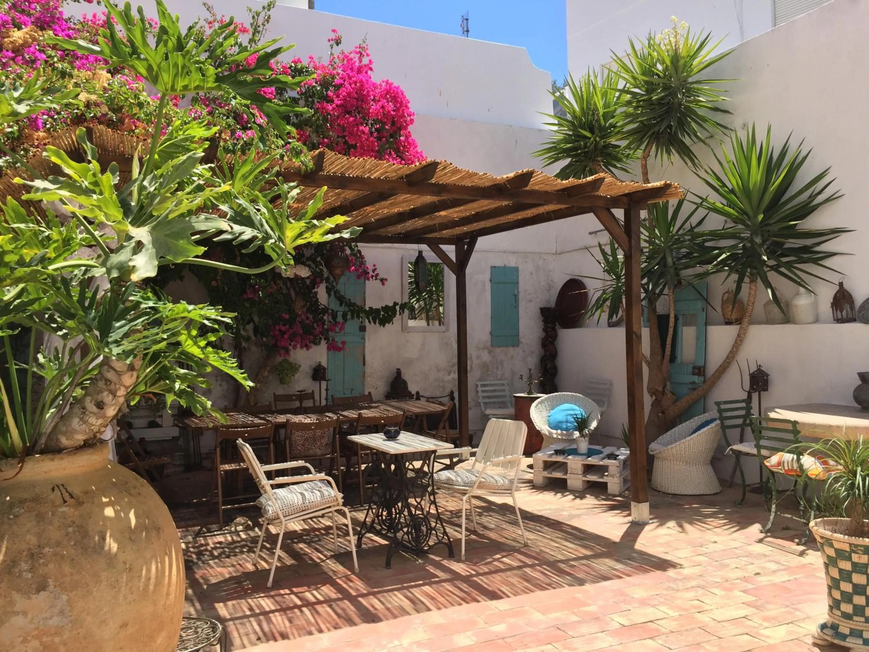 Garden in Casa dos Arcos - Charm Guesthouse