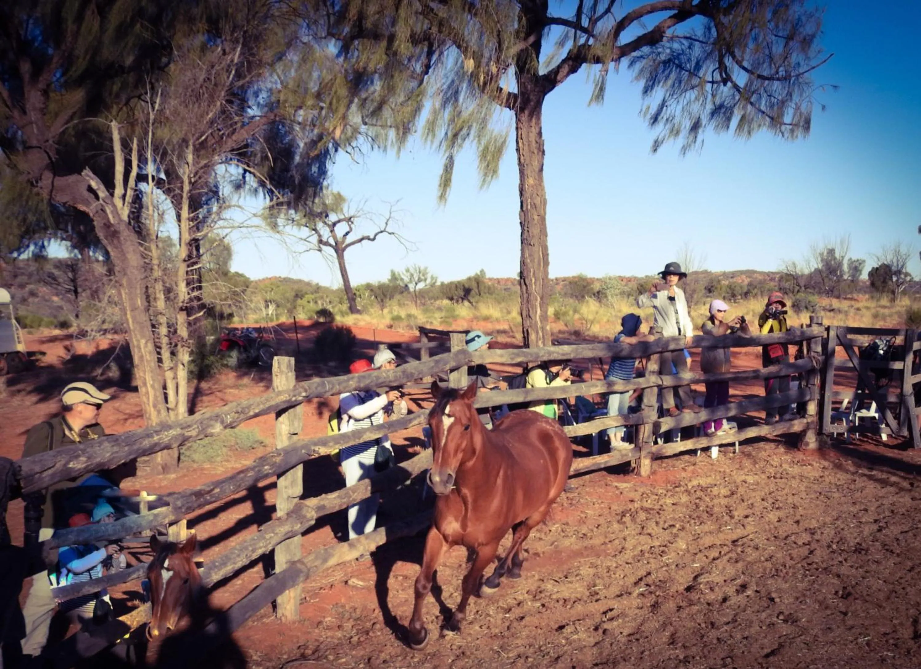 Entertainment in Ooraminna Homestead