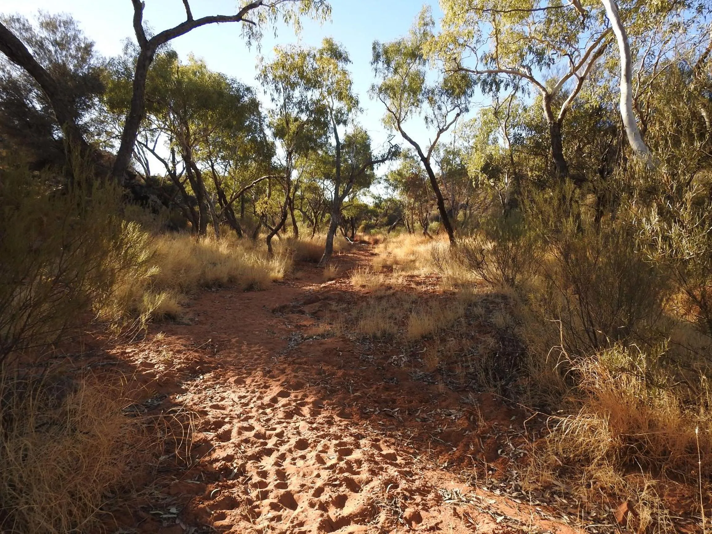 Natural landscape in Ooraminna Homestead