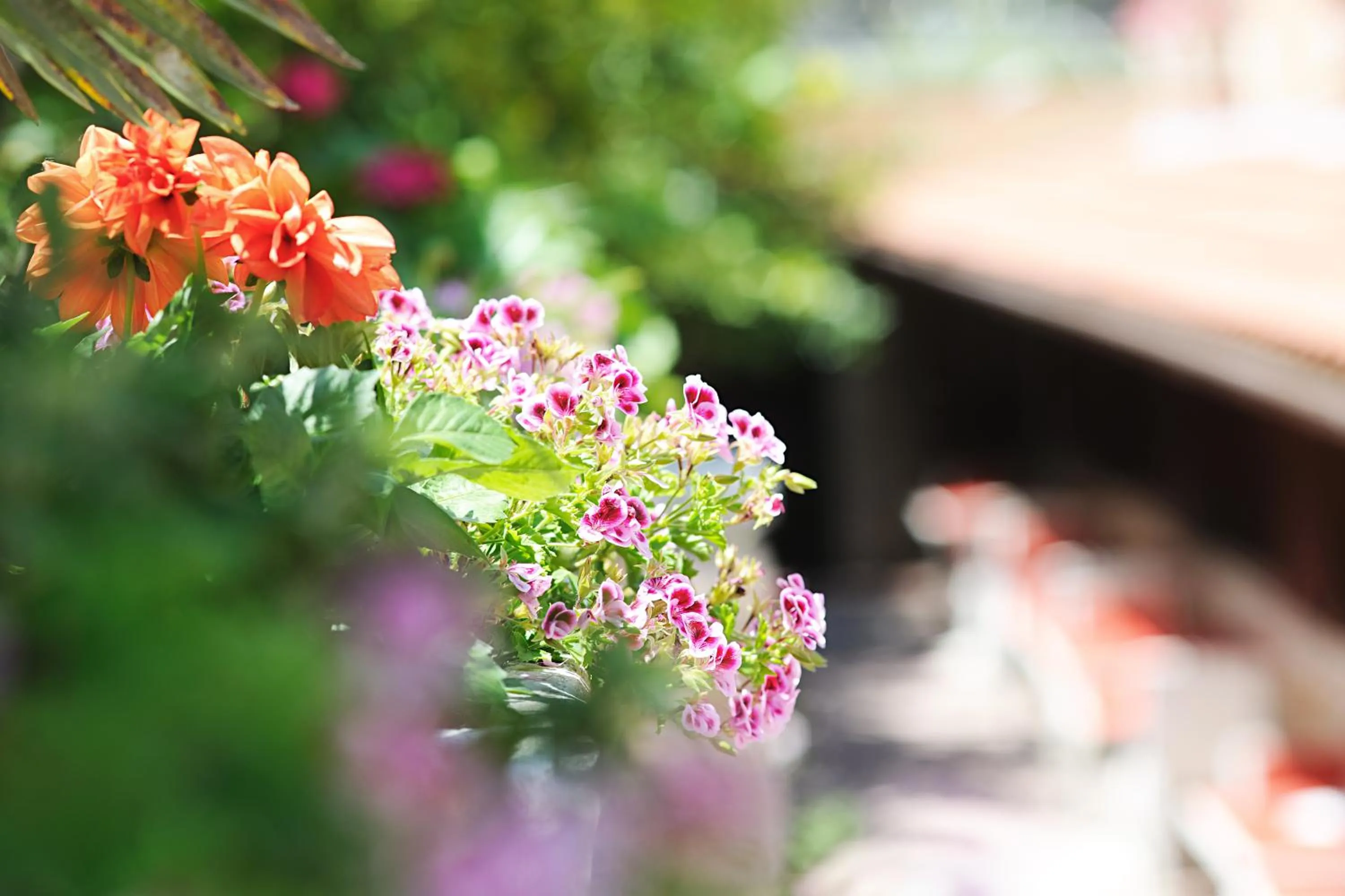 Spring in Hotel Casa Yvorio