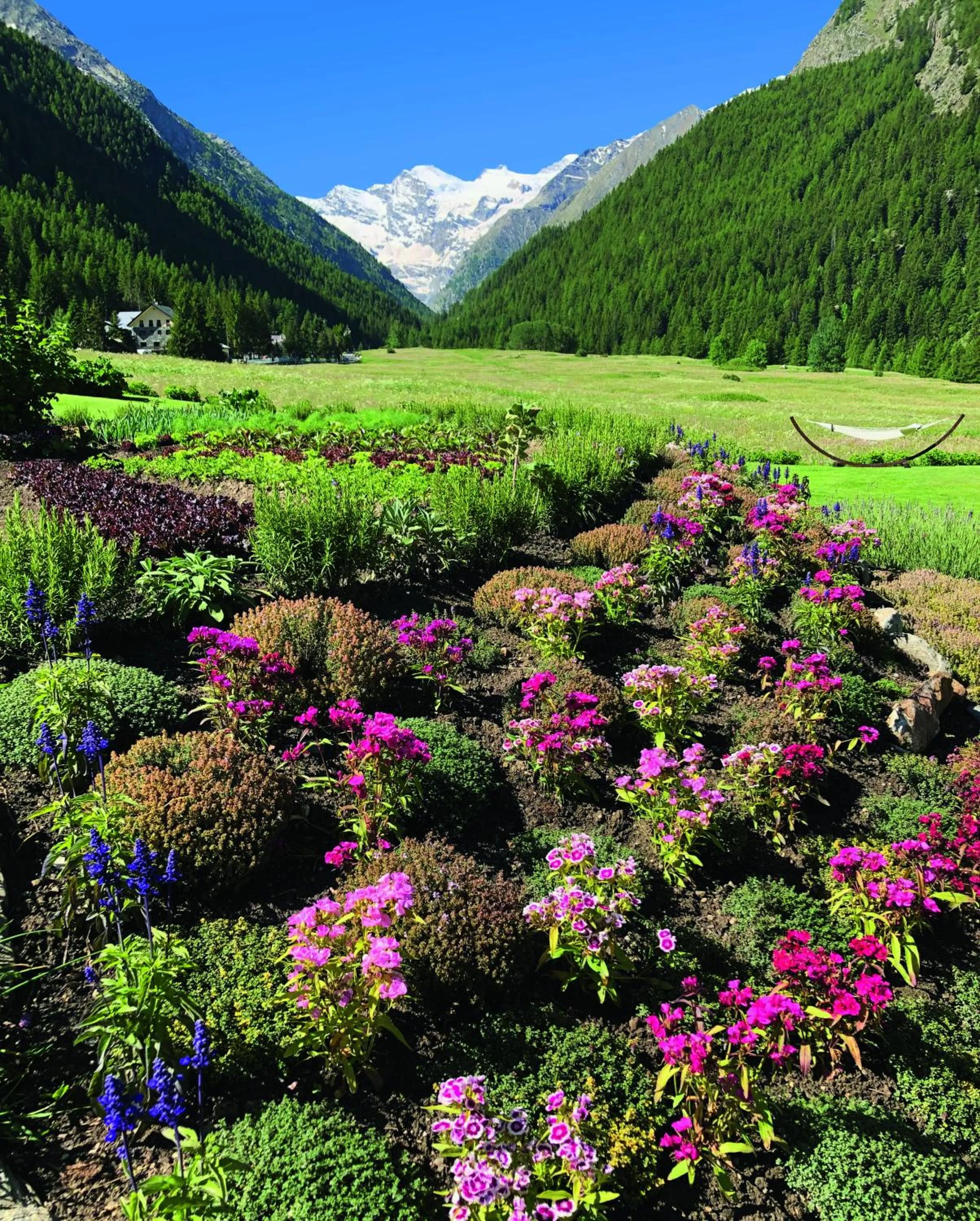 Natural landscape in Bellevue Hotel & SPA