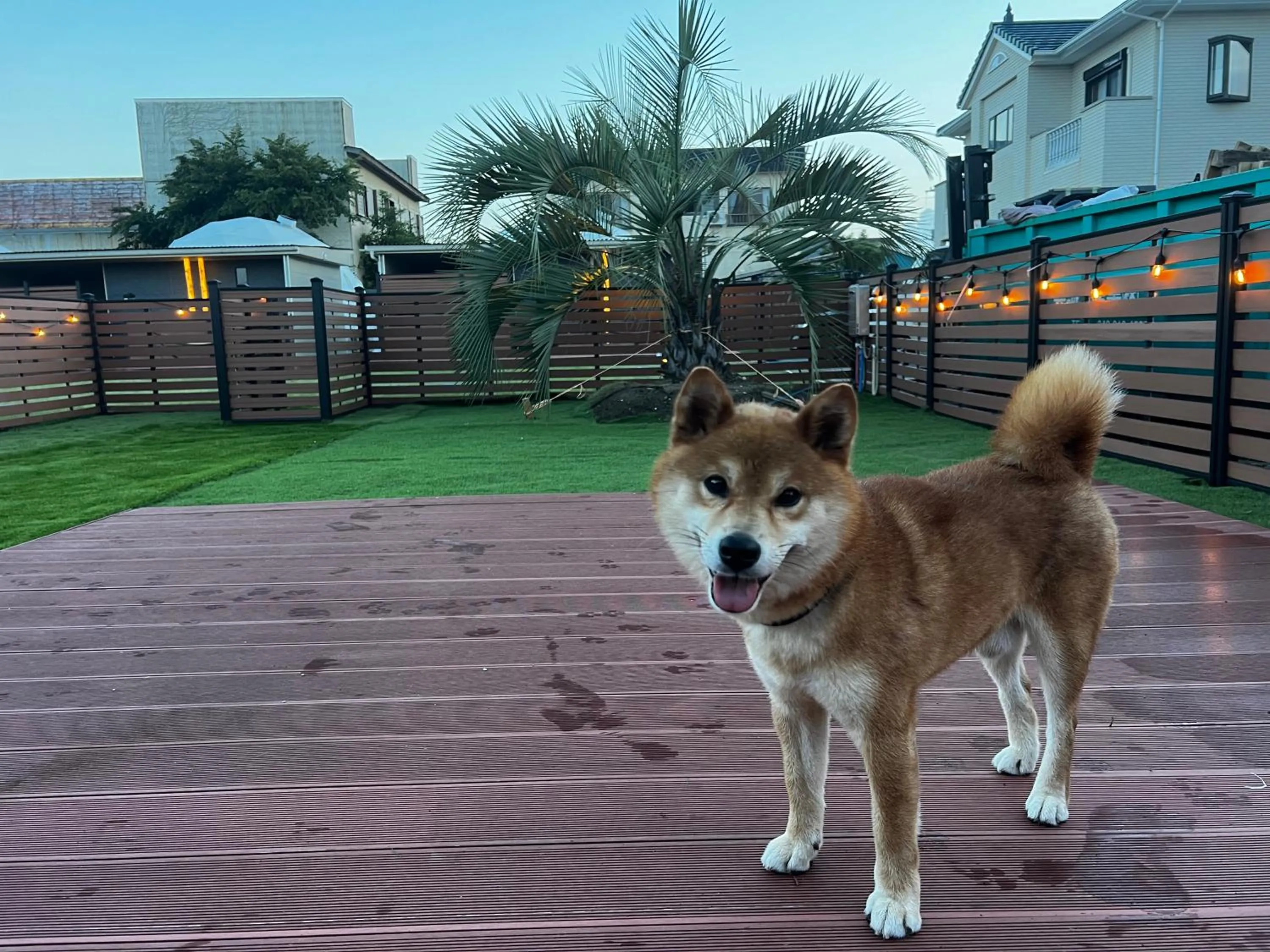 Ducale Garden Hotel Kujukuri