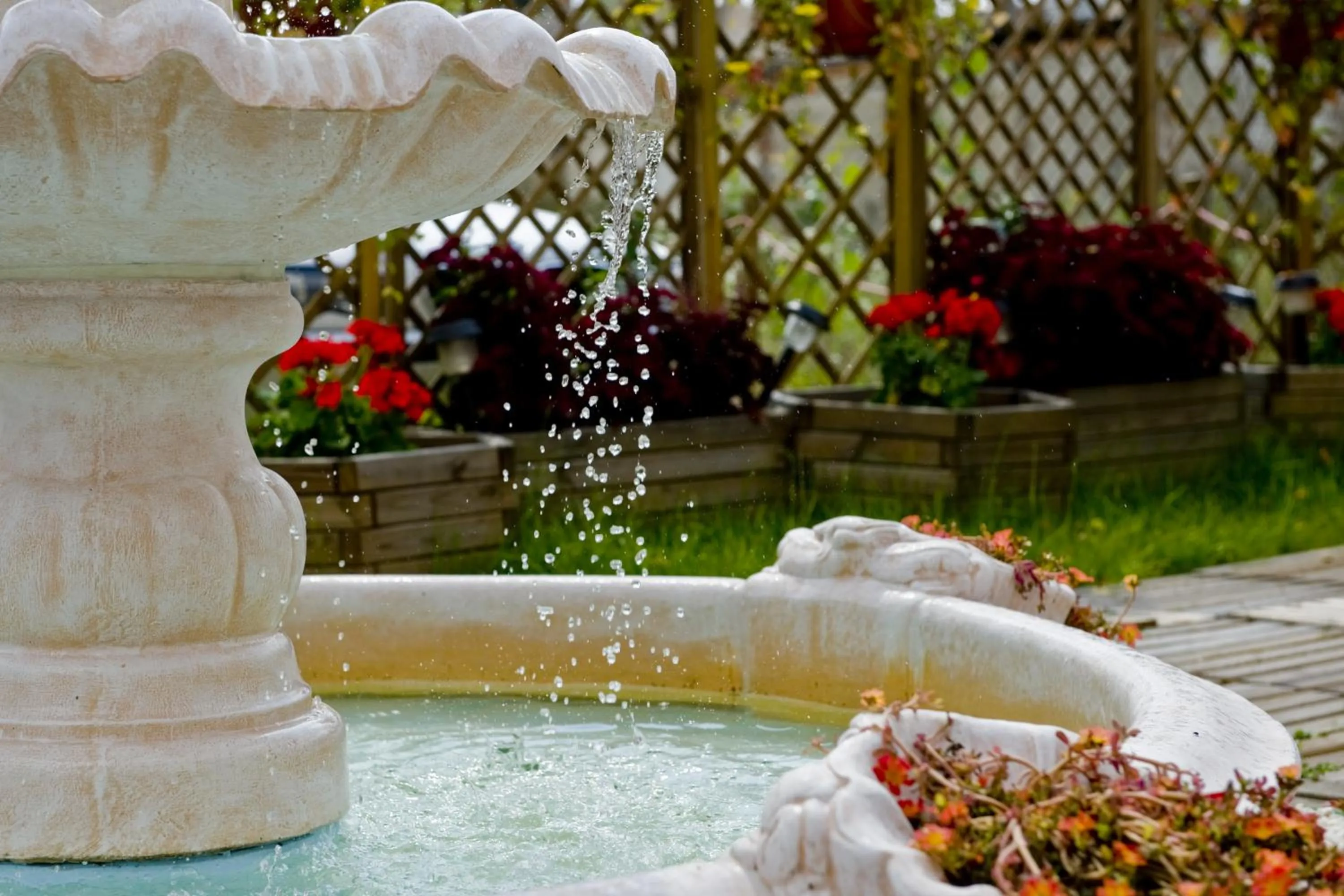 Garden in Abidar Hotel Spa & Wellness