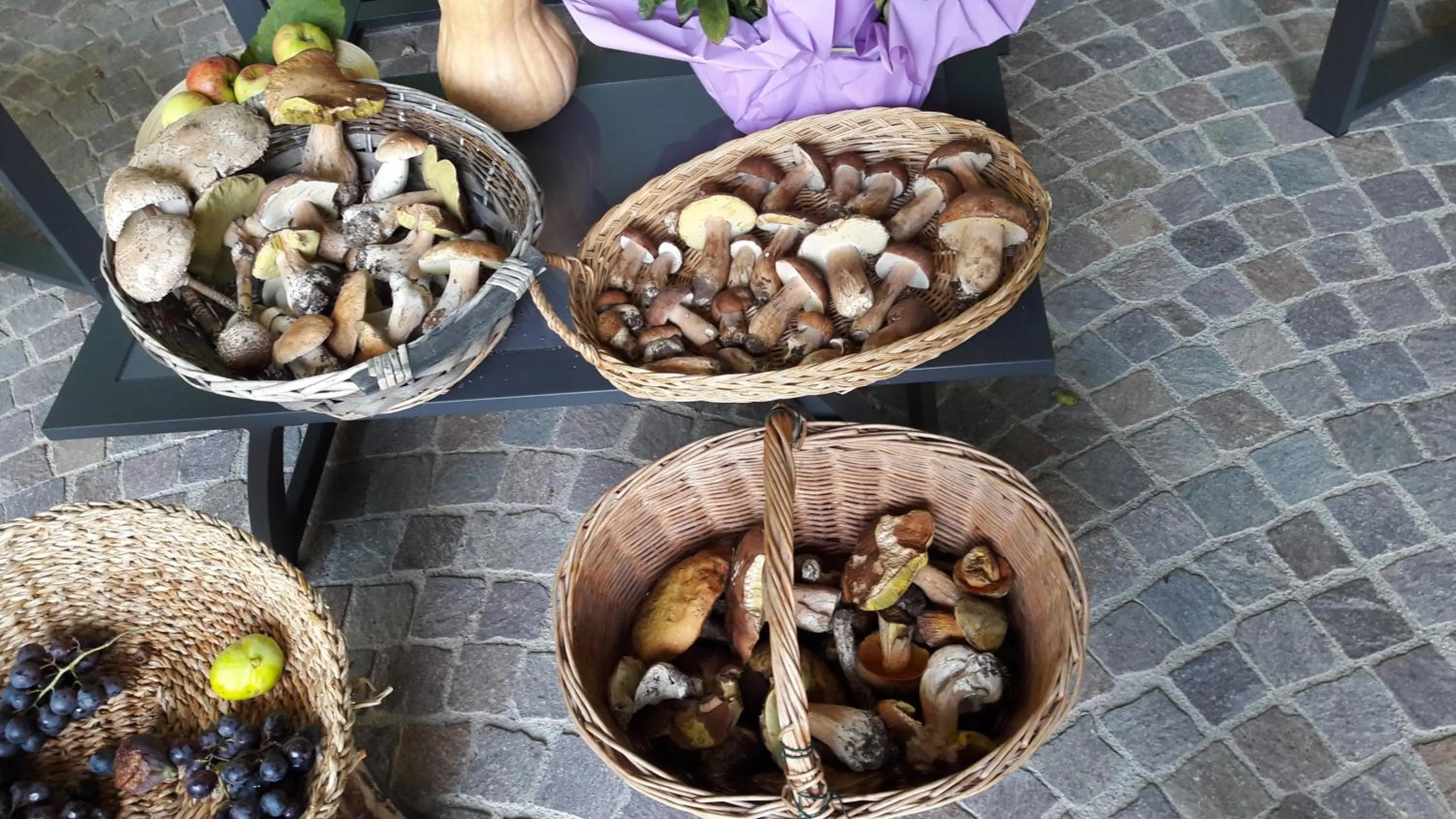 Maso Tobel Riva del Garda