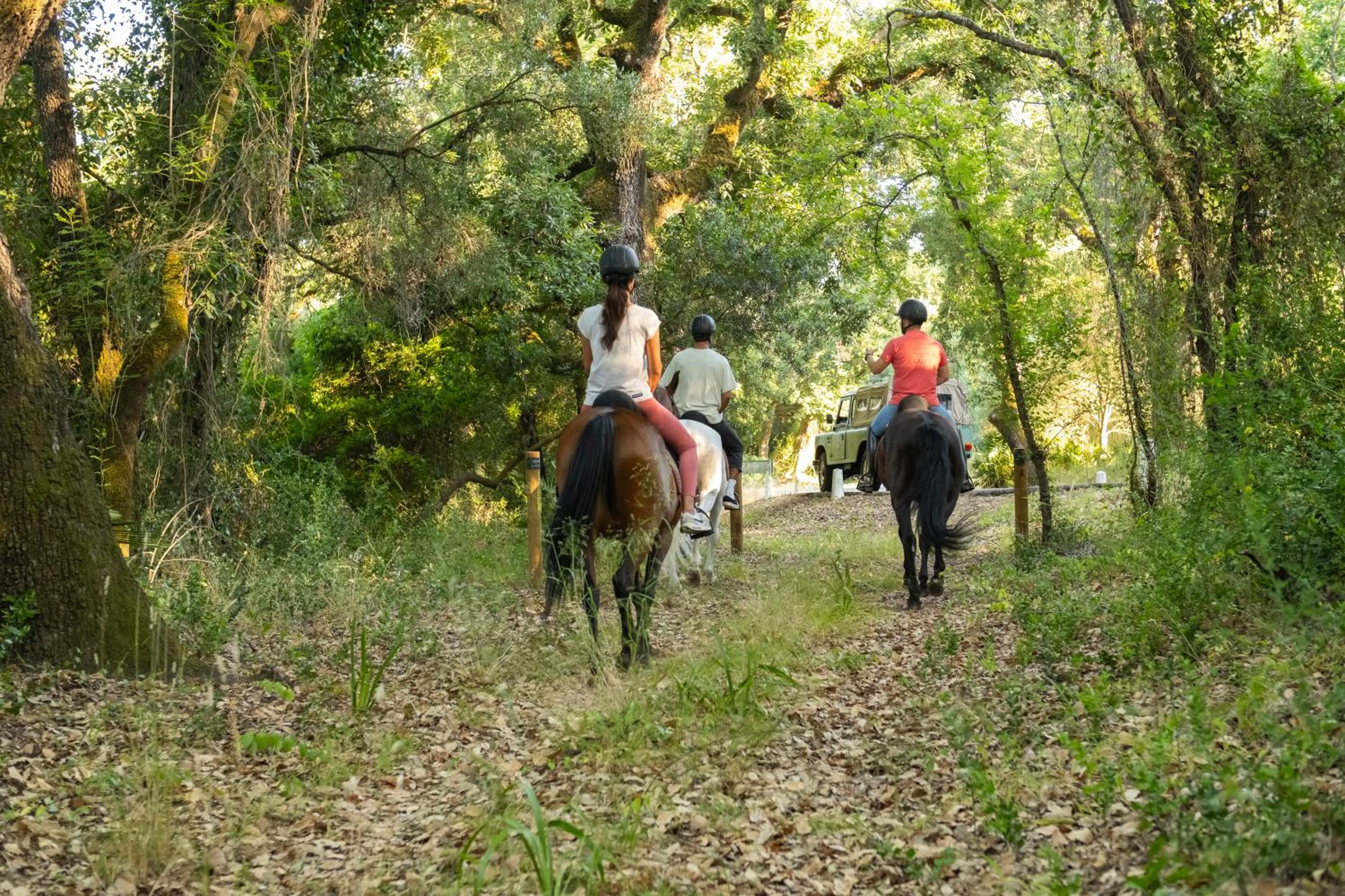 Natural landscape in La Almoraima Hotel