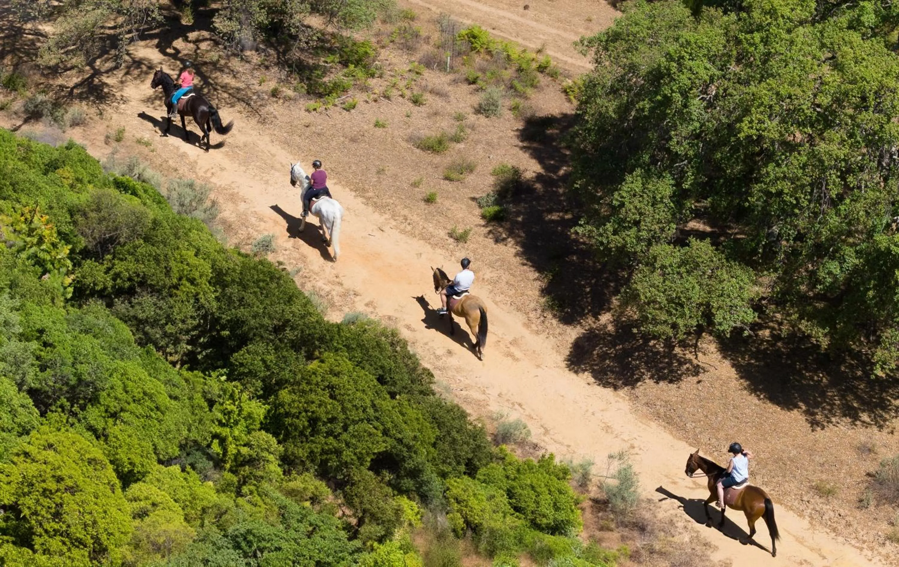 Natural landscape in La Almoraima Hotel