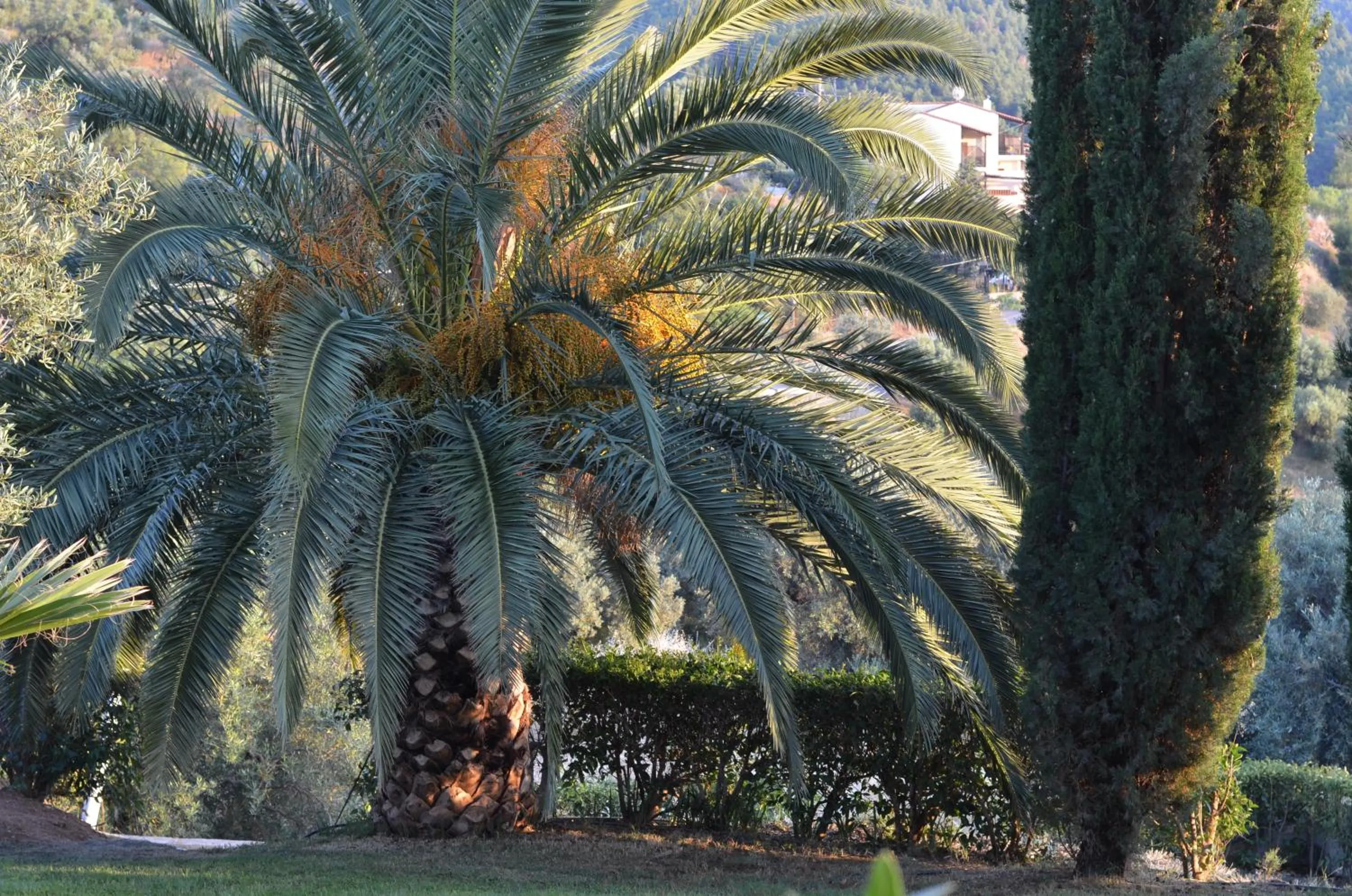 Day in Kelyfos Hotel