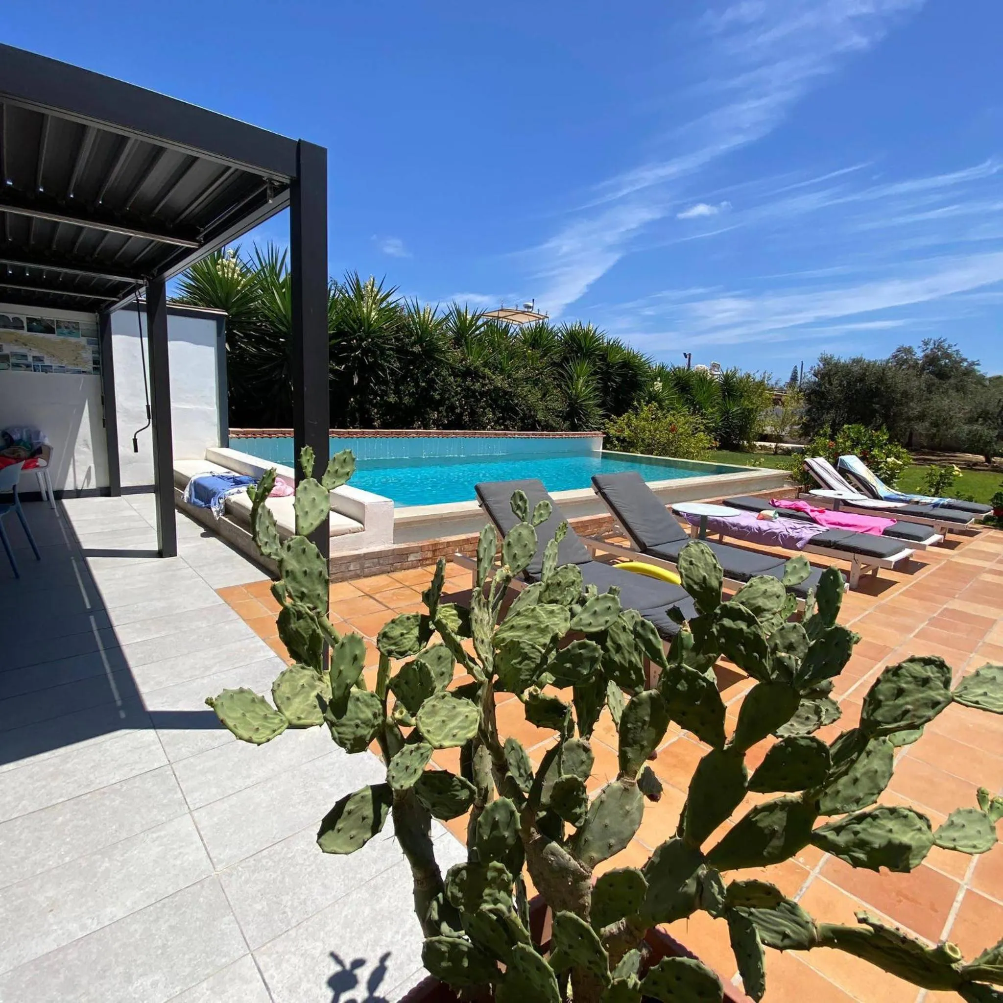 Garden view in bolinajazz