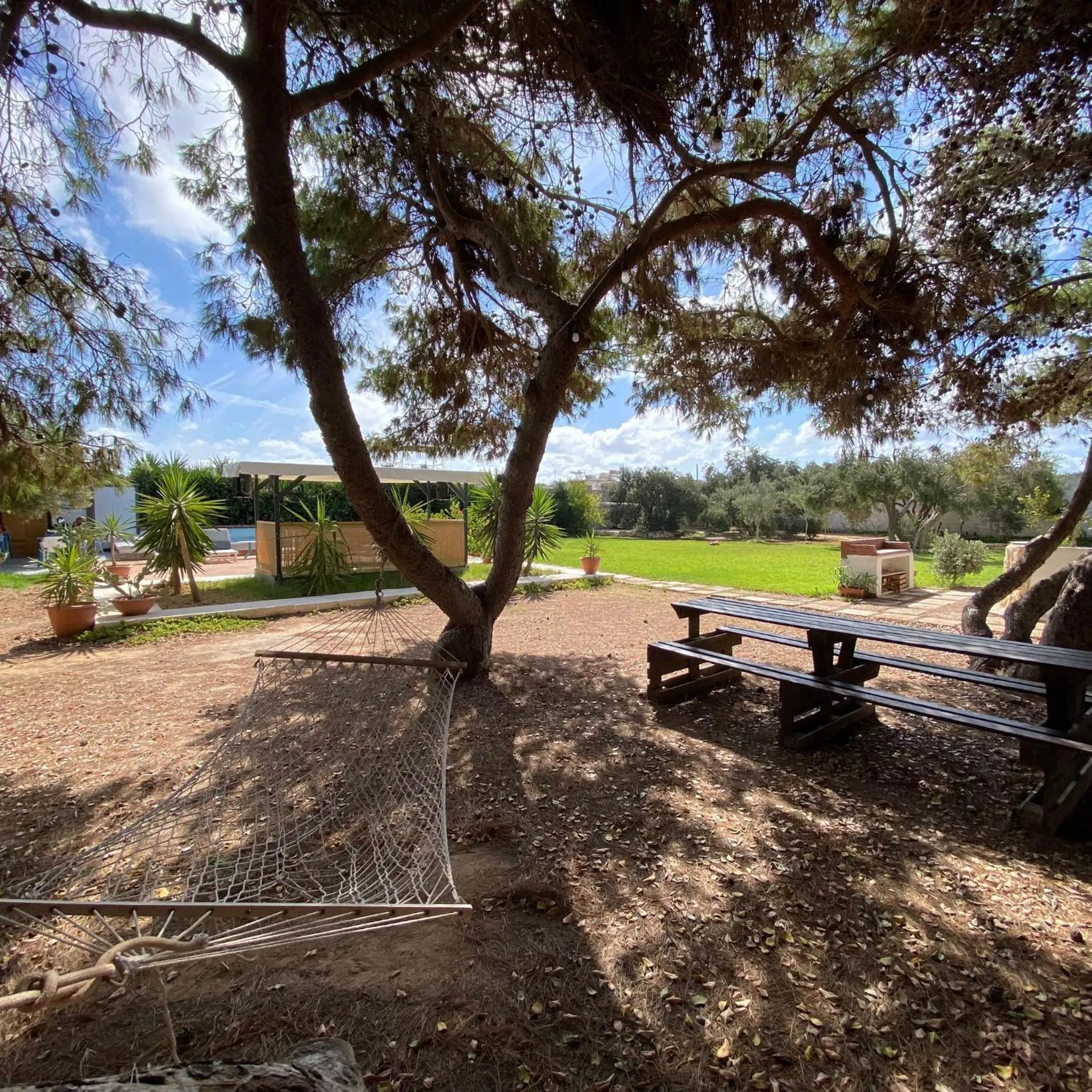 Garden in bolinajazz