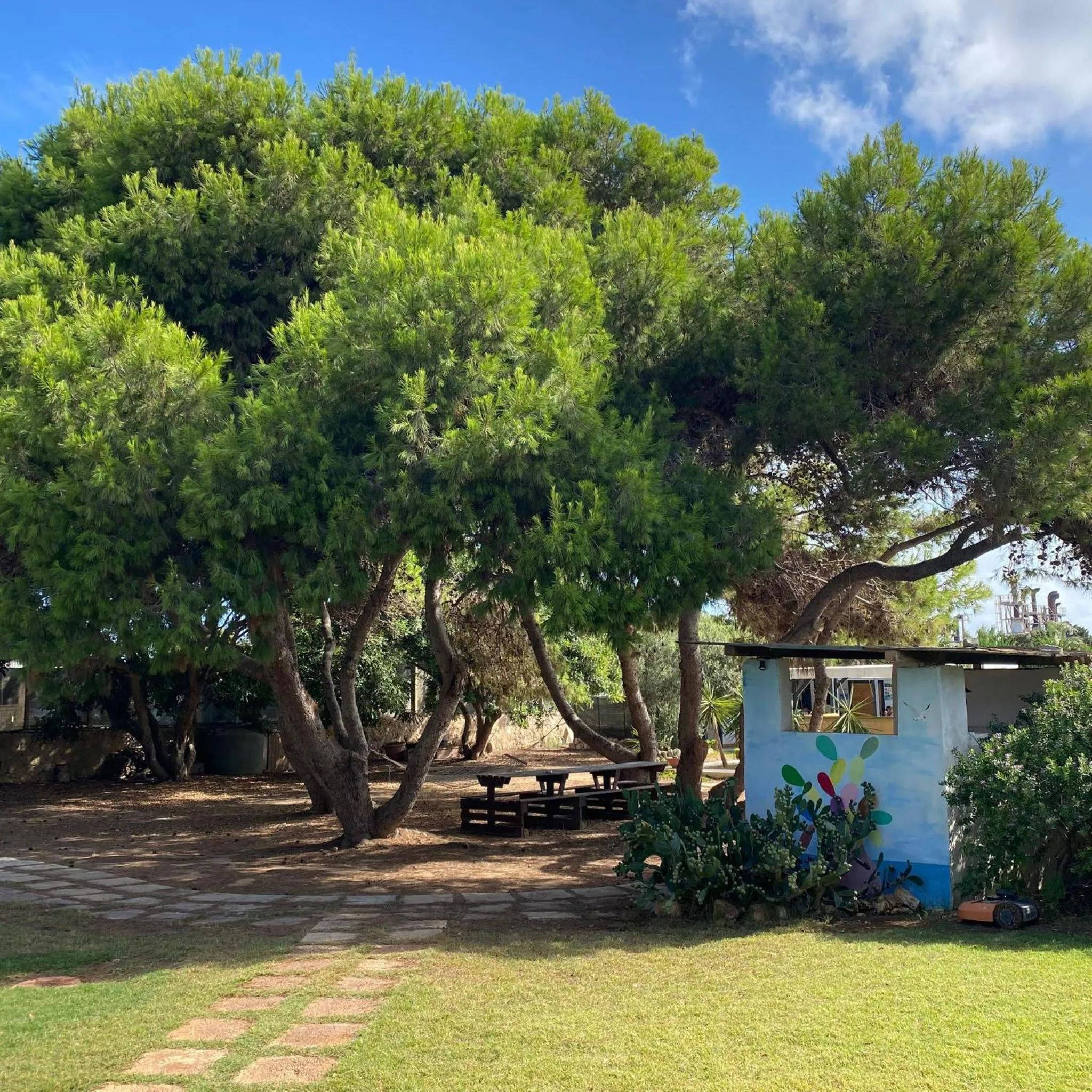 Garden in bolinajazz